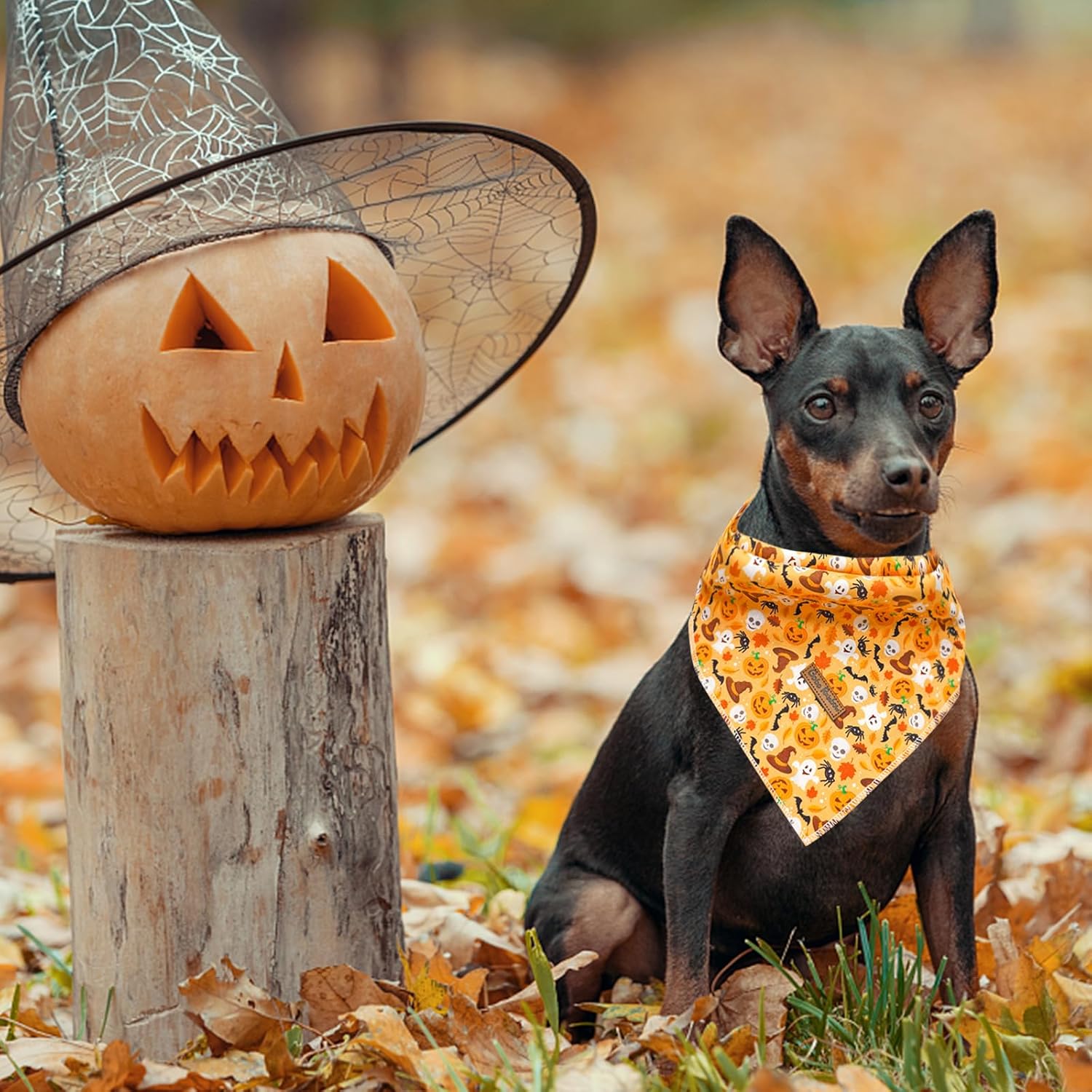 Pañuelo de otoño para perro, 1 bufanda de Halloween para perro, bufandas para perros, bufanda para mascotas, pañuelo para mascotas, bufandas