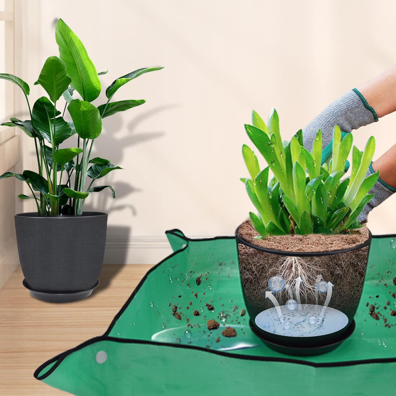 Qefuna Macetas de 1098 pulgadas, juego de 3, macetas para plantas de interior con agujeros de drenaje, platillo extraíble, tapete de trasplante,