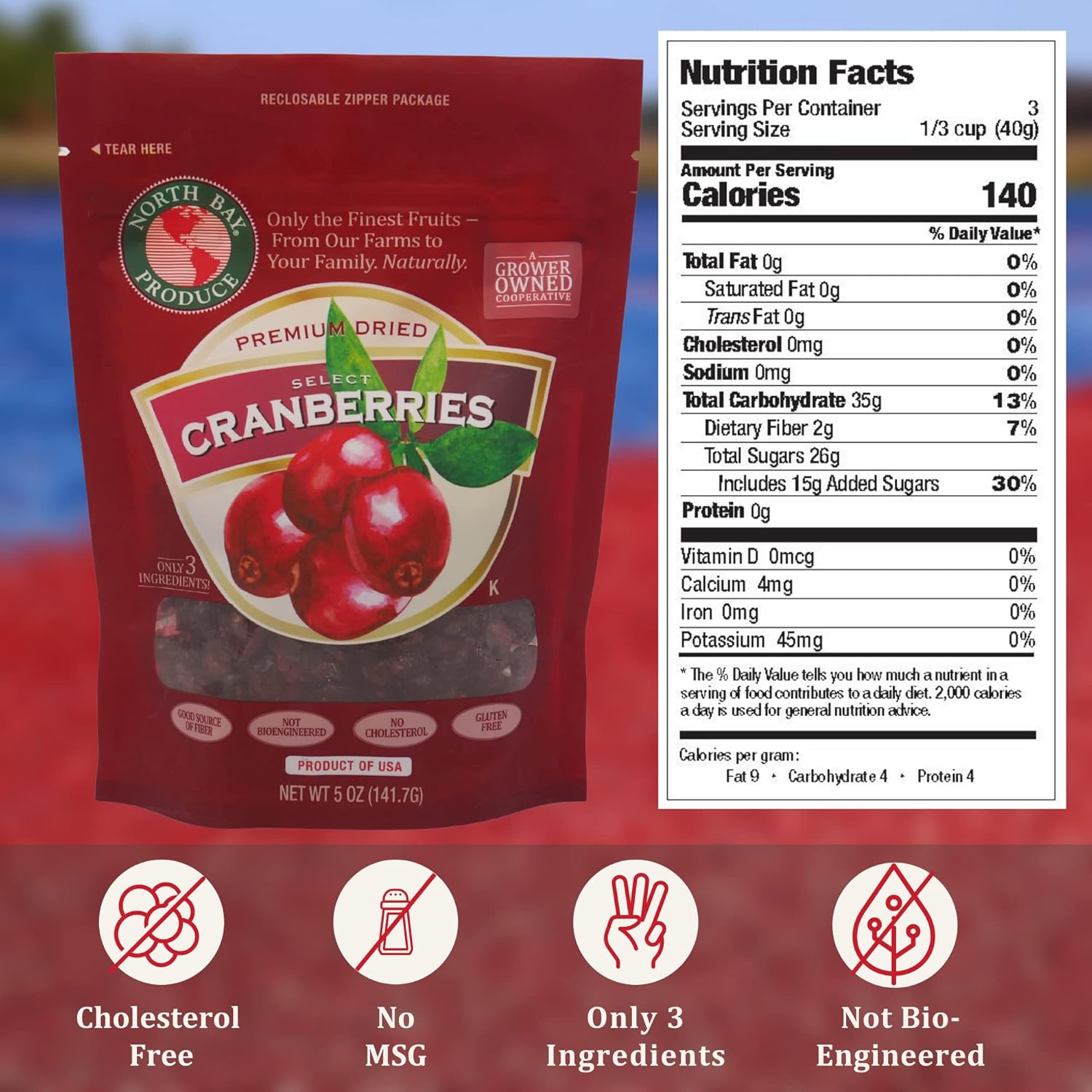 North Bay Produce – Arándanos secos – Sin gluten, veganos – Snacks saludables para niños y adultos – Bolsa resellable, 5 onzas