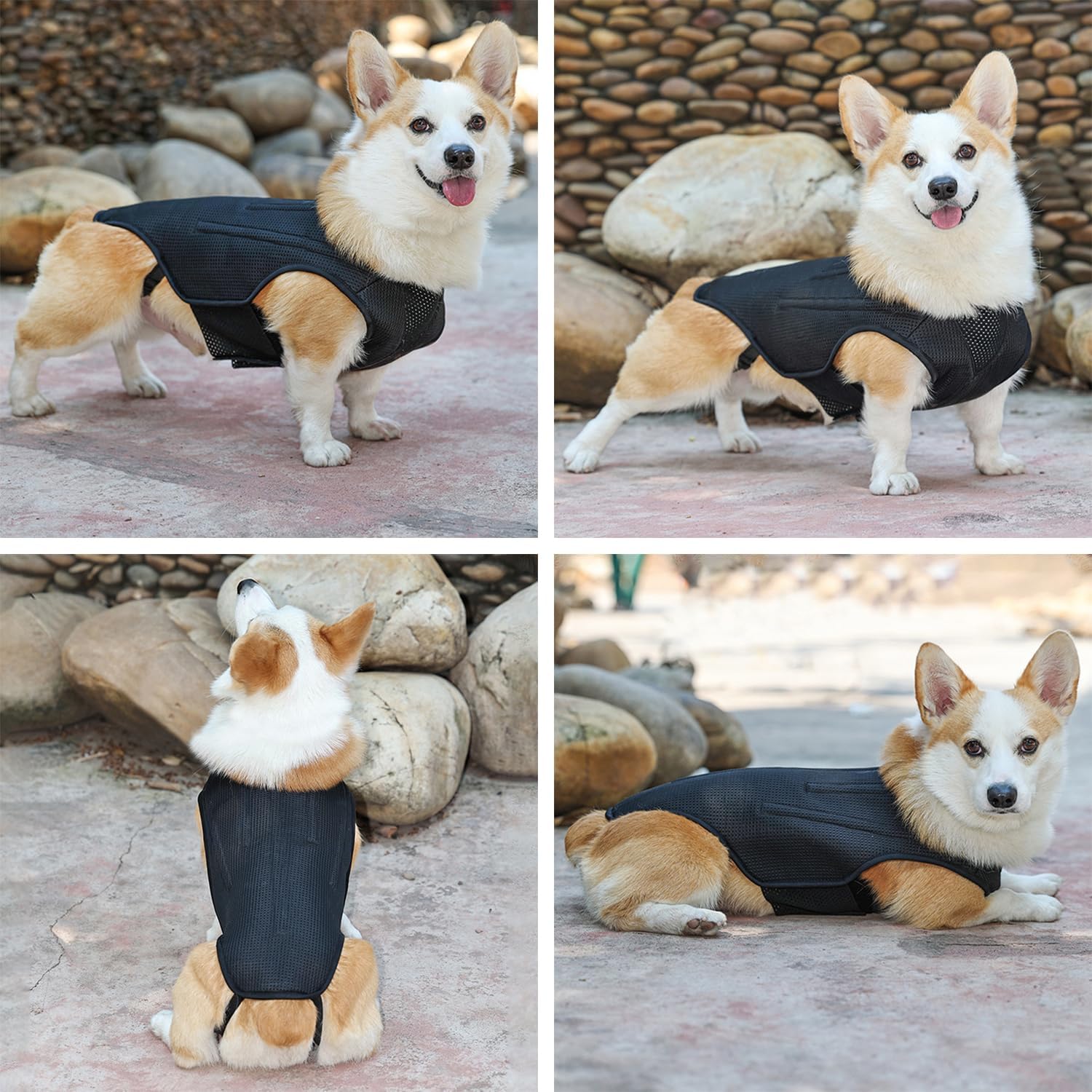 IVDD – Soporte de espalda para perros, chaleco flexible de apoyo de espalda de perro salchicha para mascotas, soporte de espalda para mascotas