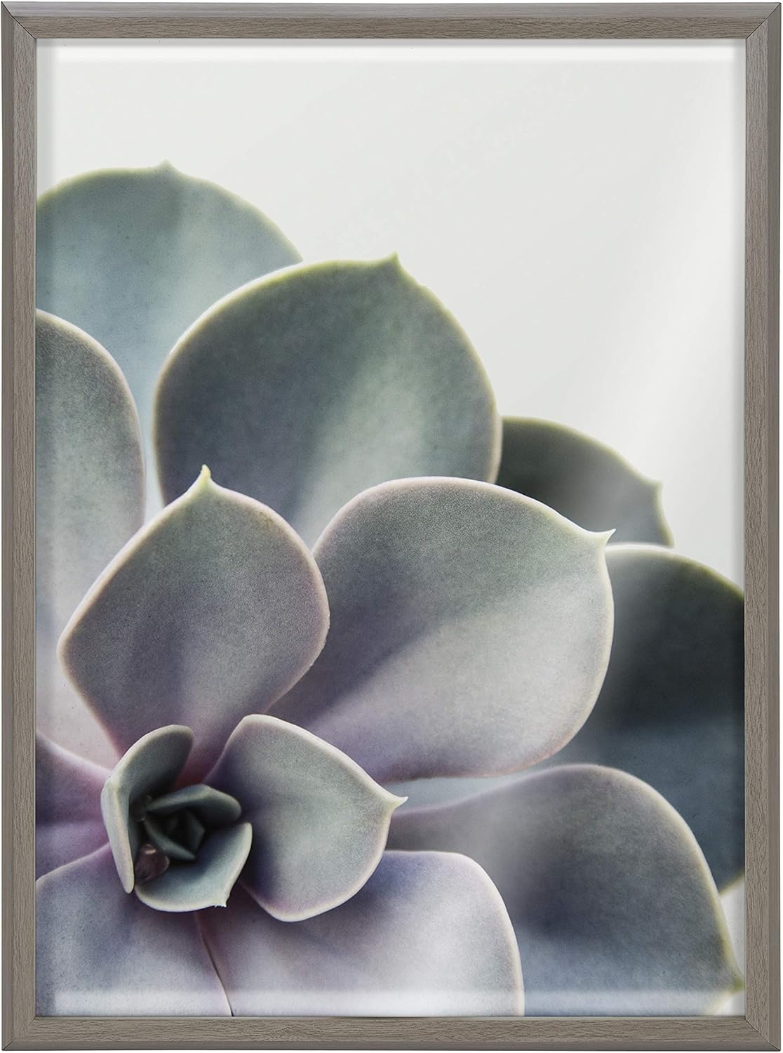Kate and Laurel Blake Succulent – Arte de pared de vidrio impreso con 5 marcos por Emiko y Mark Franzen de F2Images, 18 x 24 pulgadas, color gris,