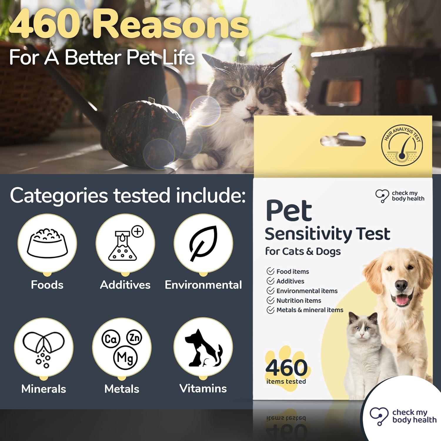 Prueba de sensibilidad e intolerancia para mascotas para gatos o perros, fácil de usar en casa prueba de sensibilidad para gatos y perros, 460