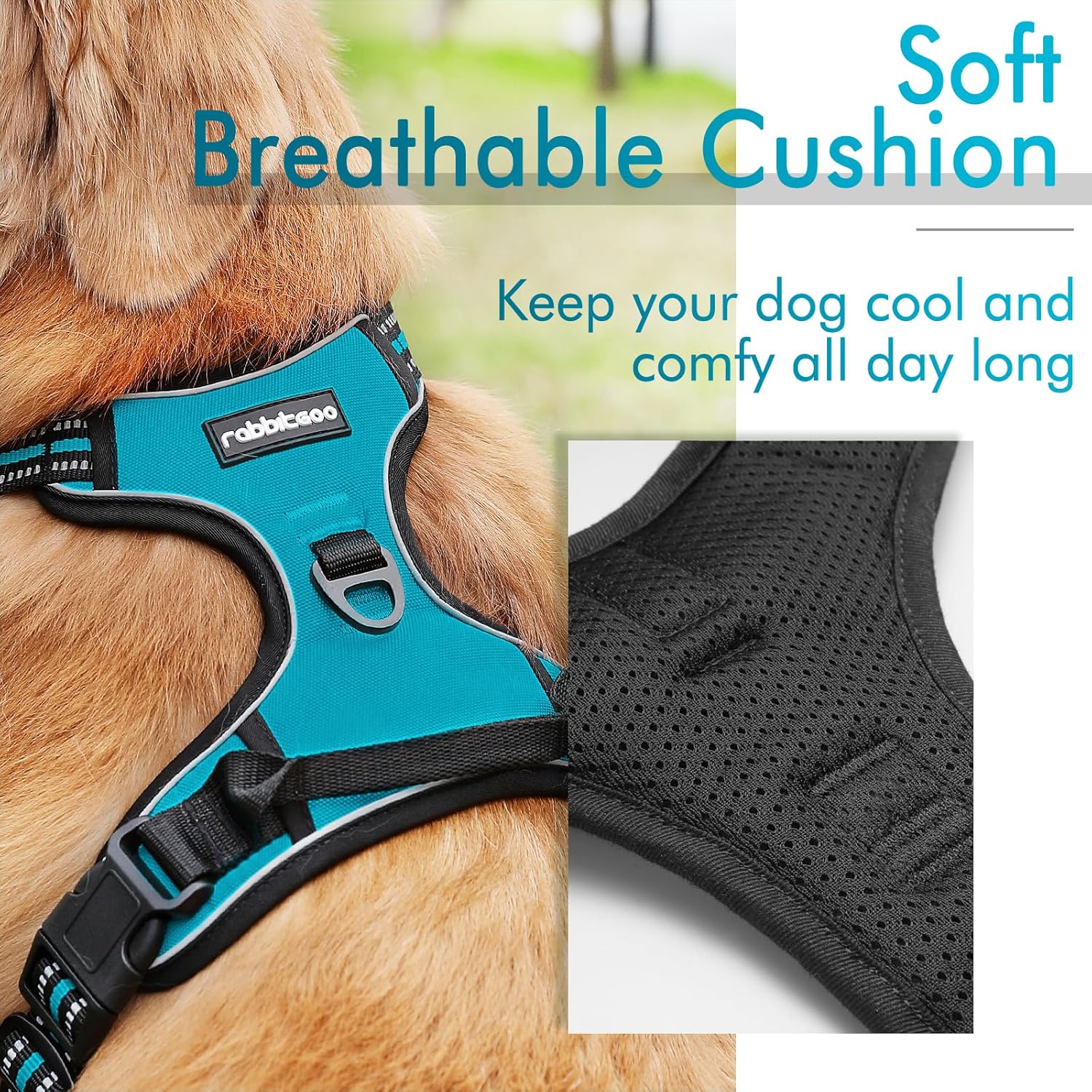 rabbitgoo Arnés para perro, arnés sin tirones para mascotas con 2 clips para correa, chaleco acolchado suave ajustable para perro, chaleco Oxford