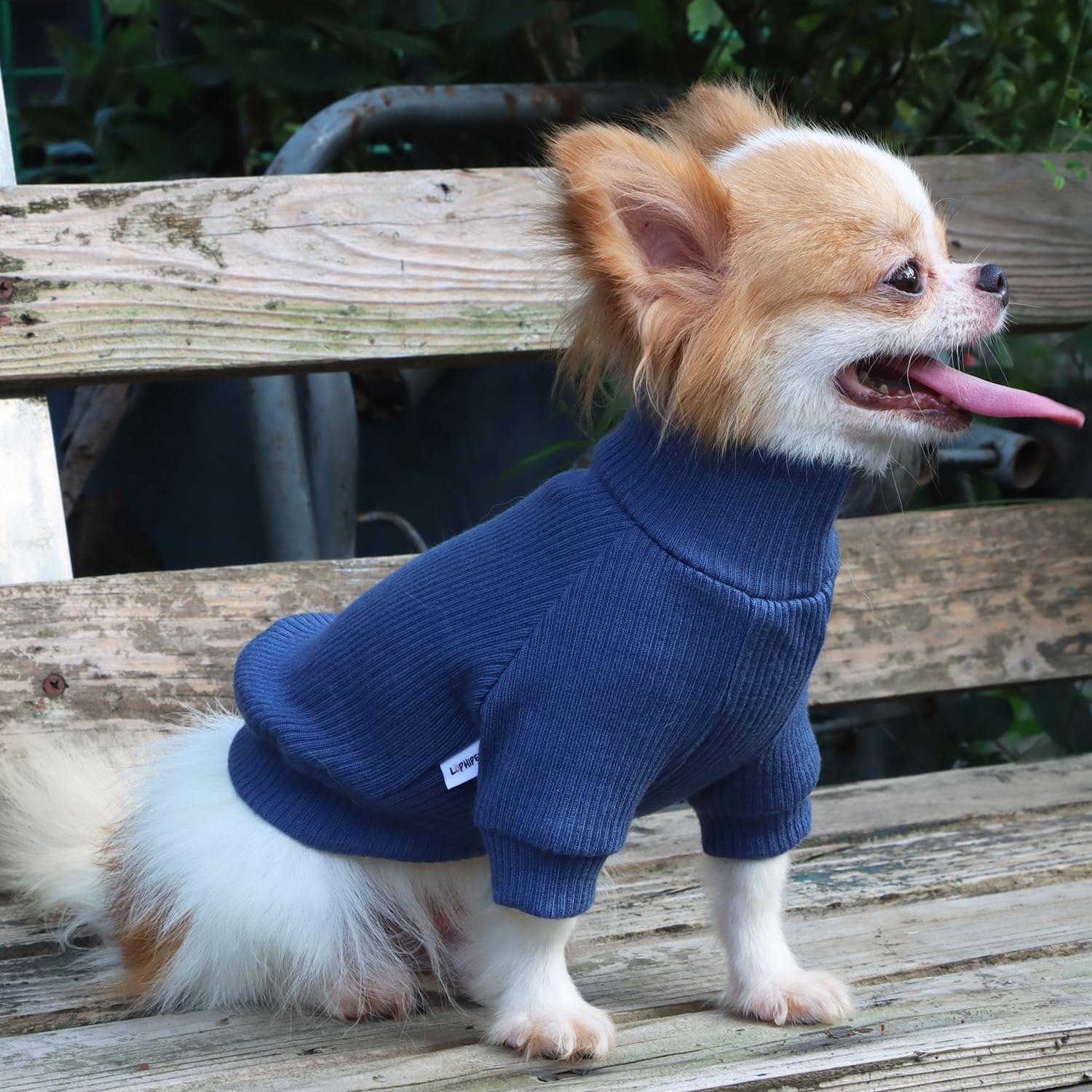 LOPHIPETS Suéteres de cuello alto para perros pequeños para taza de té, chihuahua, yorkie, cachorro, gato, ropa, azulXS