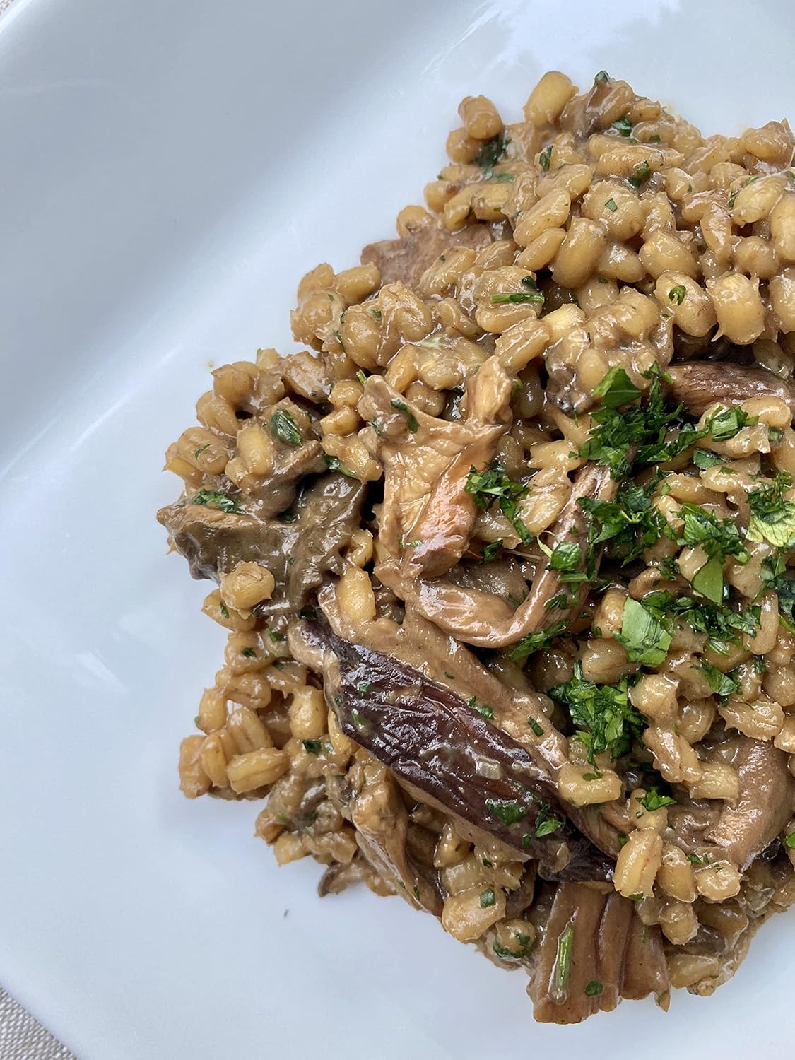 Orzo de cebada orgánica – Granja familiar Bio Alberti, Poggio Aquilone, Umbría – 1.1 libras