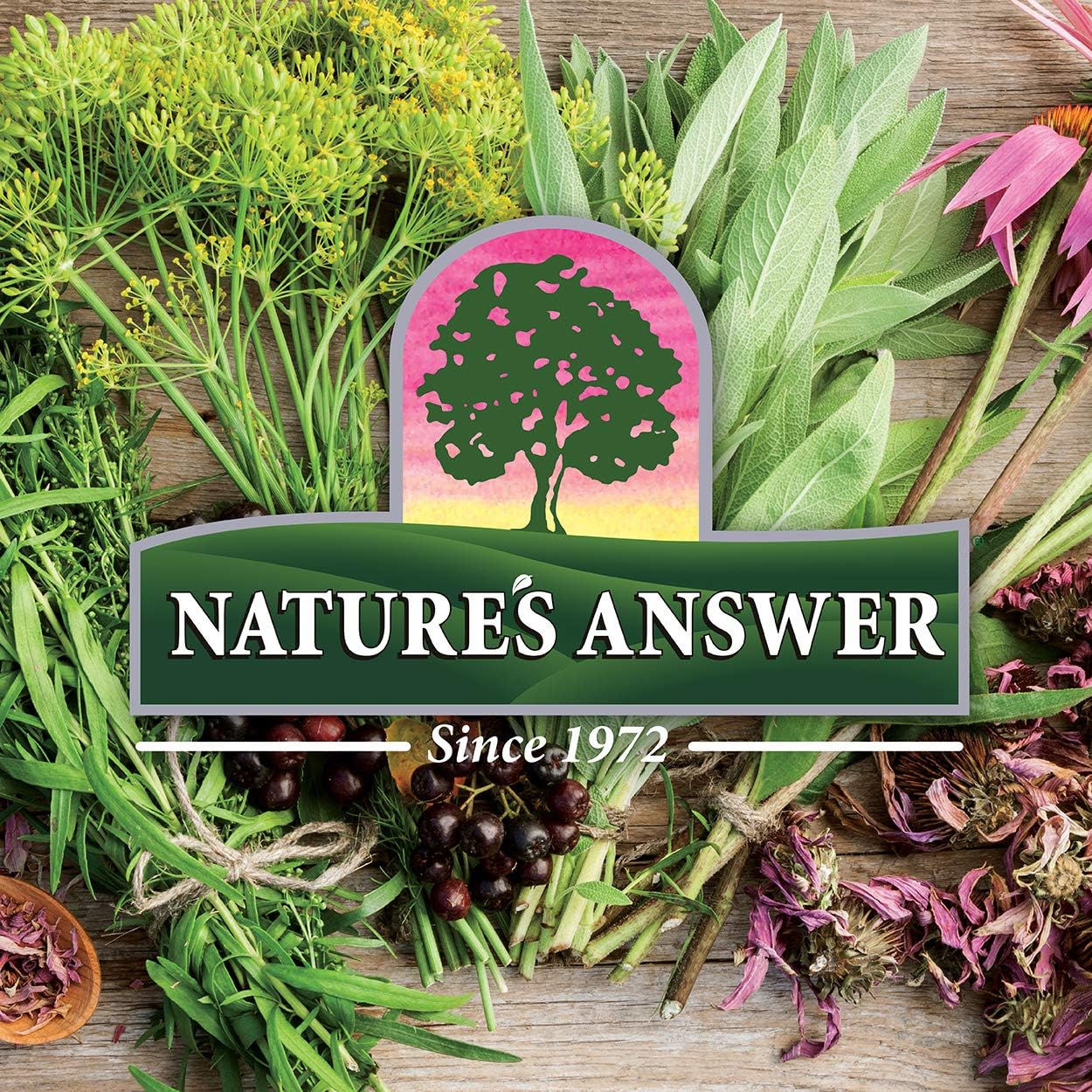 Nature’s Answer Yarrow Flowers – Extracto sin alcohol de 1 onza  Apoya el bienestar general  Sin gluten, sin OMG, 100% vegano, sin conservantes ni