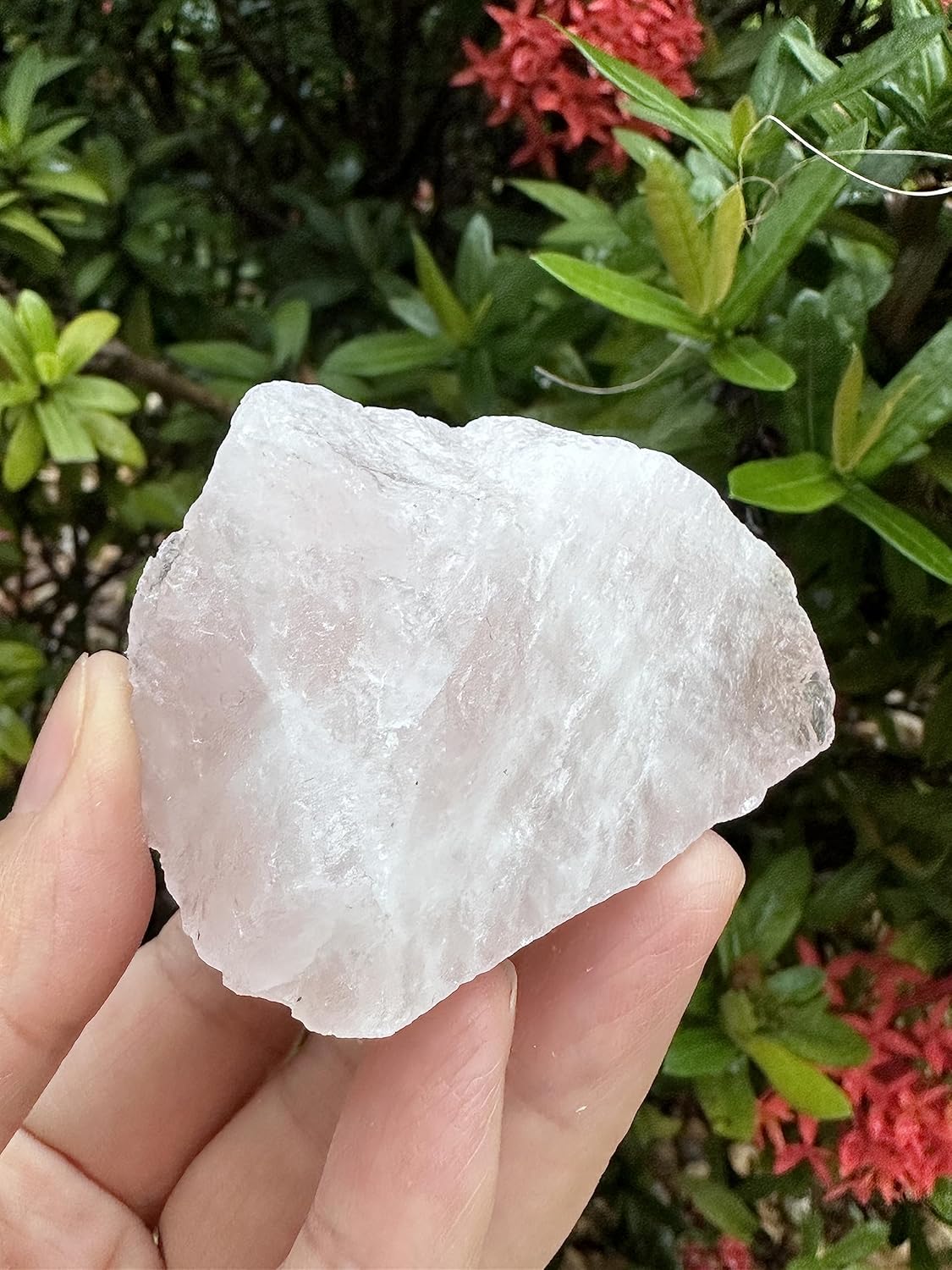 Piedras naturales ásperas de cuarzo rosa grande, cuarzo rosa crudo de 2.5-4 pulgadas, cuarzo rosa, piedra de amor, cristales curativos, 0.25-2 libras