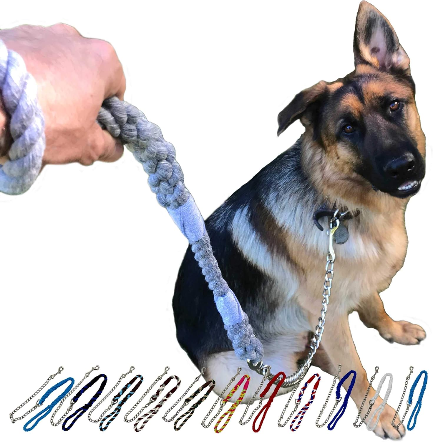 Ravenox Correa para perro con cadena (turquesa) (12 pulgada x 6 pies)  Cuerda de algodón trenzado para perro con cadena chapada en níquel y broche