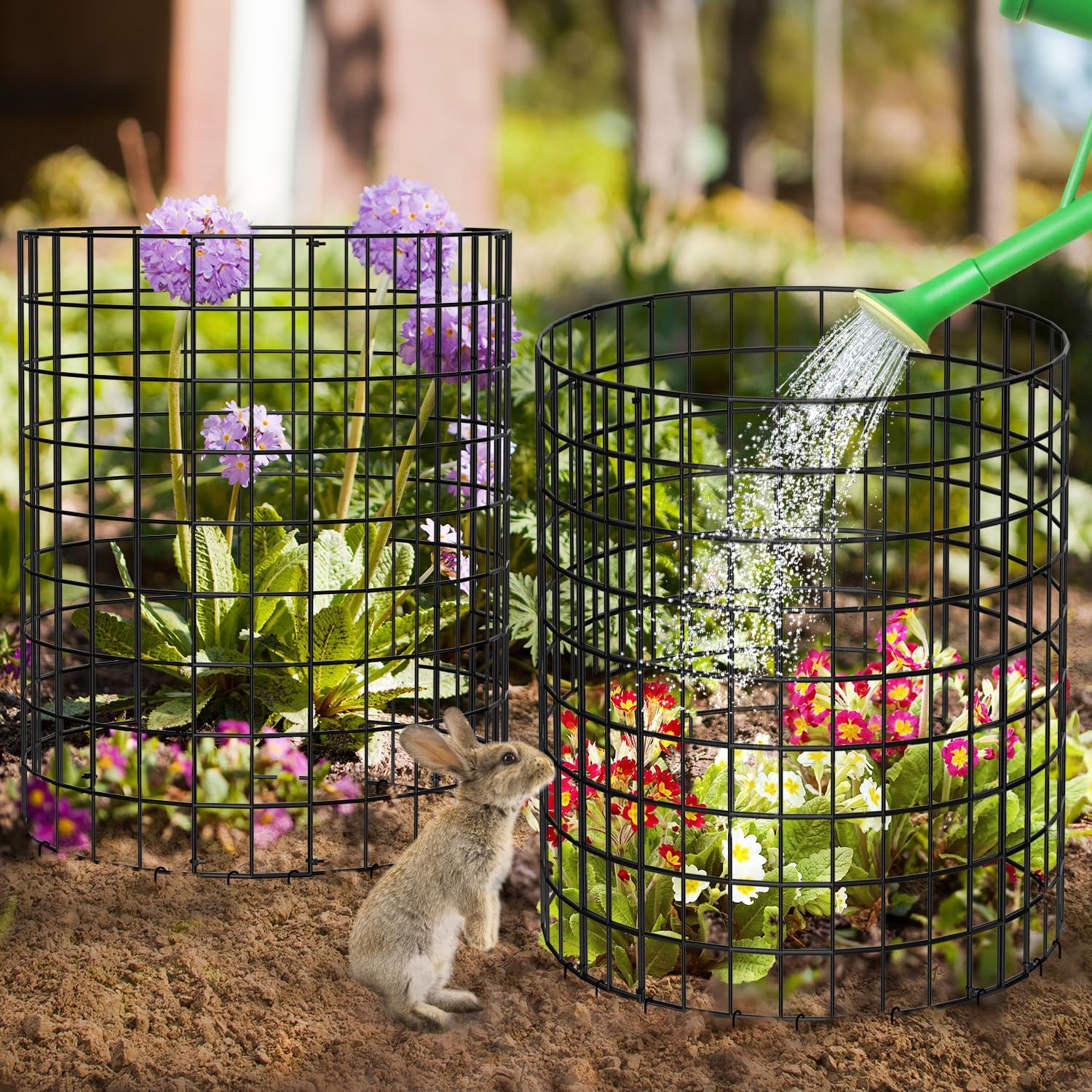 Keten Paquete de 5 protectores de plantas de animales, 15 piezas de malla metálica para mantener a los animales fuera, jaulas de plantas de 13.7
