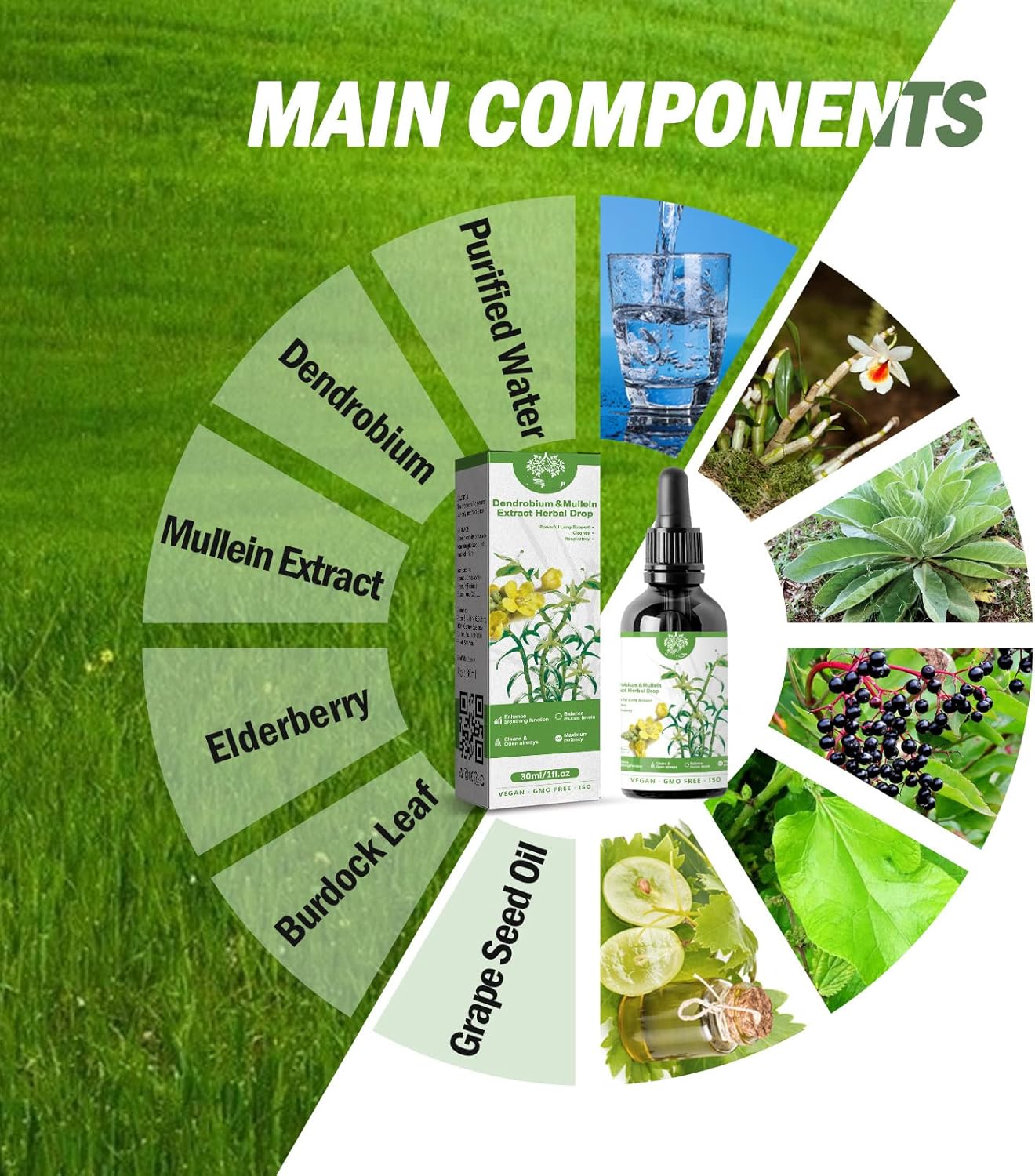 Clearbreath – Extracto de dendrobium y gordolobo  Potente apoyo pulmonar, extracto de dendrobio y gordolobo, gotas de hierbas para el aliento