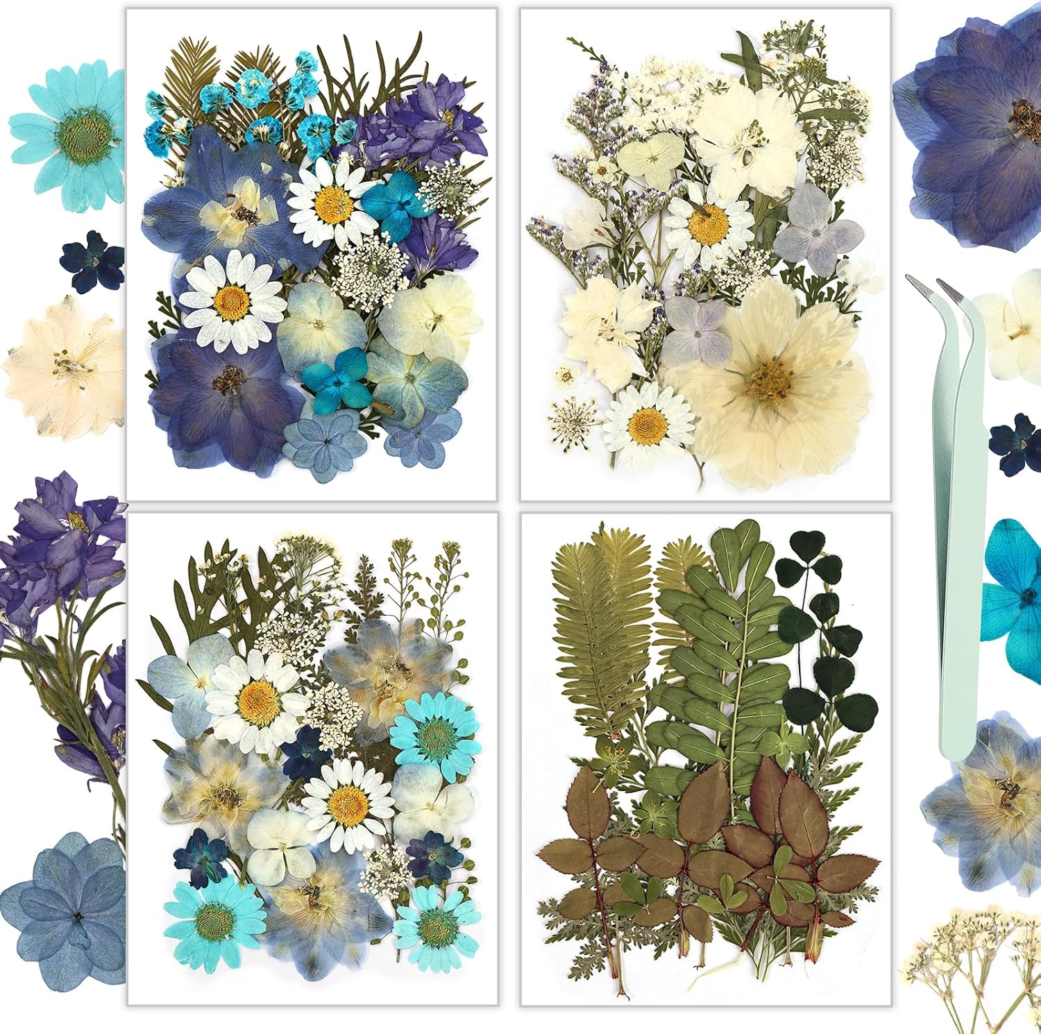 Resiners Juego de 100 flores secas prensadas para moldes de resina, flores secas naturales azules reales, kit de hojas secas para álbumes de