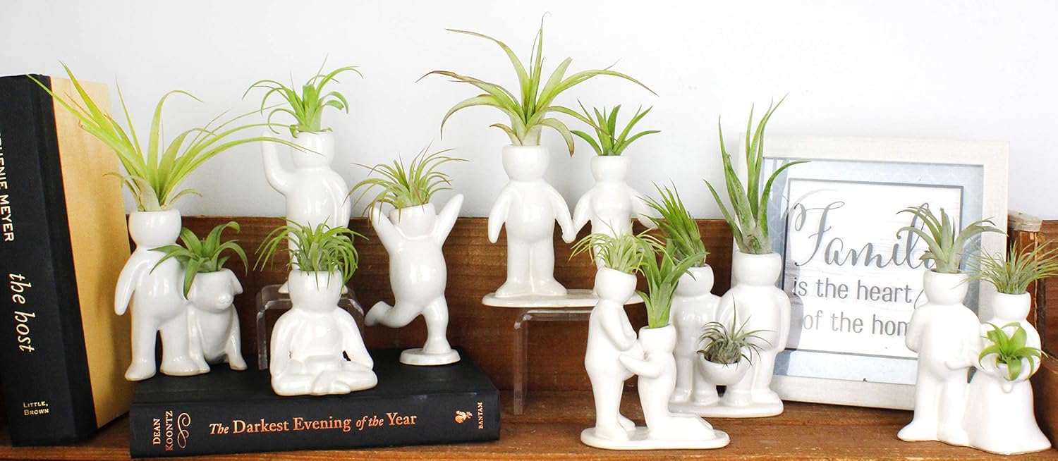 NW Wholesaler Maceta en forma de persona de cerámica blanca de 4.75 pulgadas con planta de aire Tillandsia viva, plantas de aire de interior en