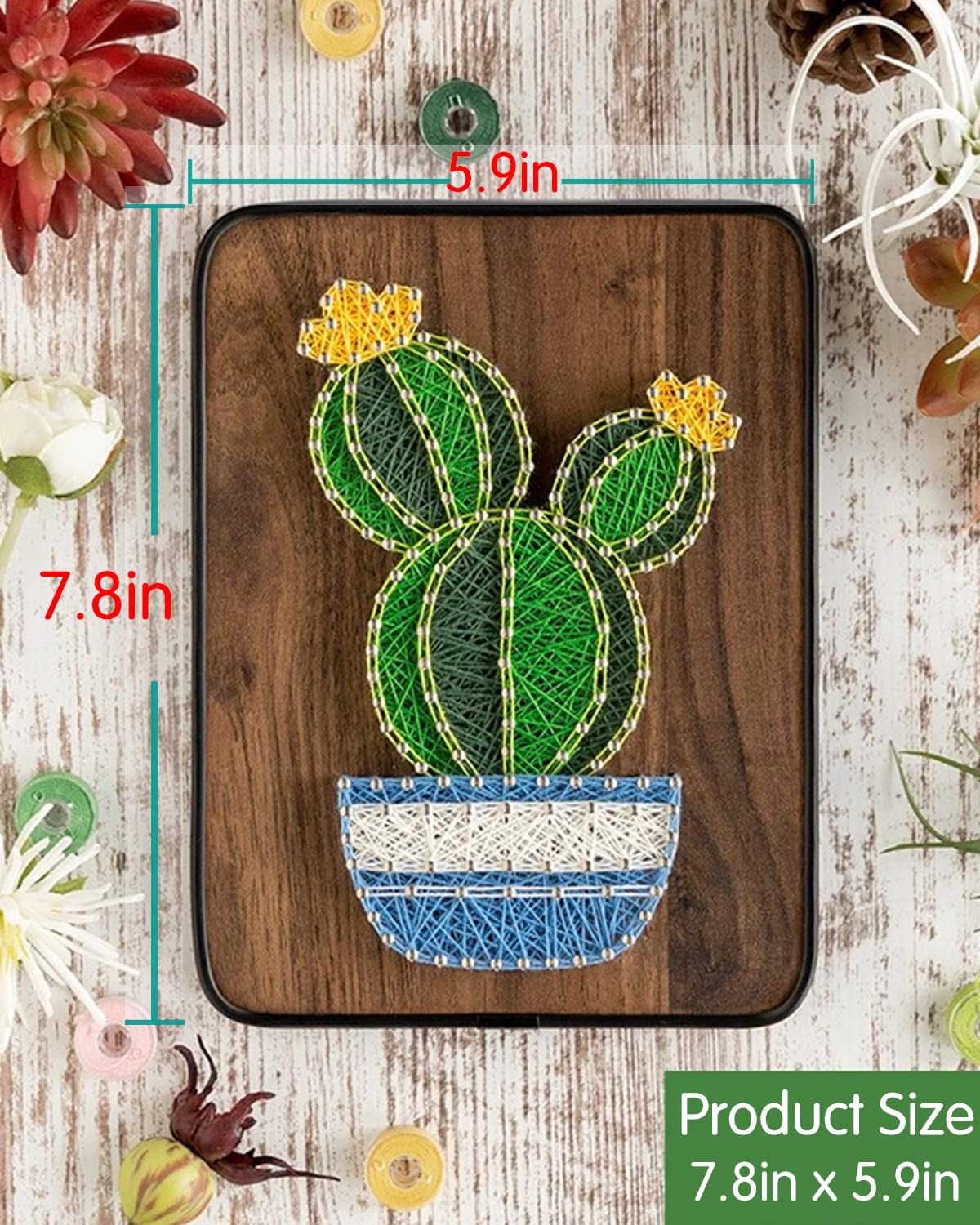 BAZIMA Kit de arte de cuerda para principiantes, kit de manualidades de cactus en maceta, regalo único, kit de manualidades para vacaciones, cactus