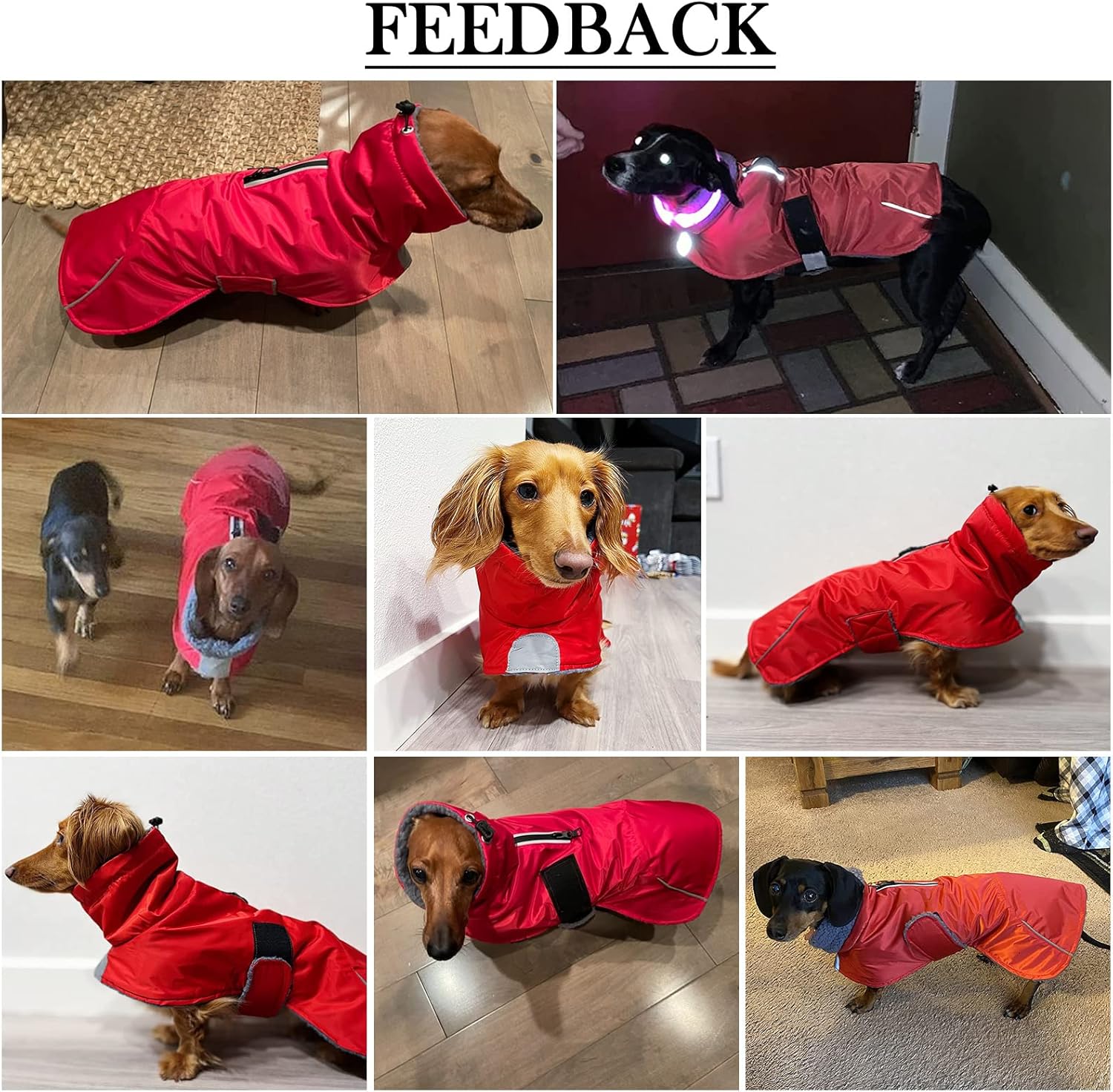 Abrigos de perro salchicha impermeables, perfectos para perros salchichas, salchichas, abrigo de invierno para perro Weiner con forro polar