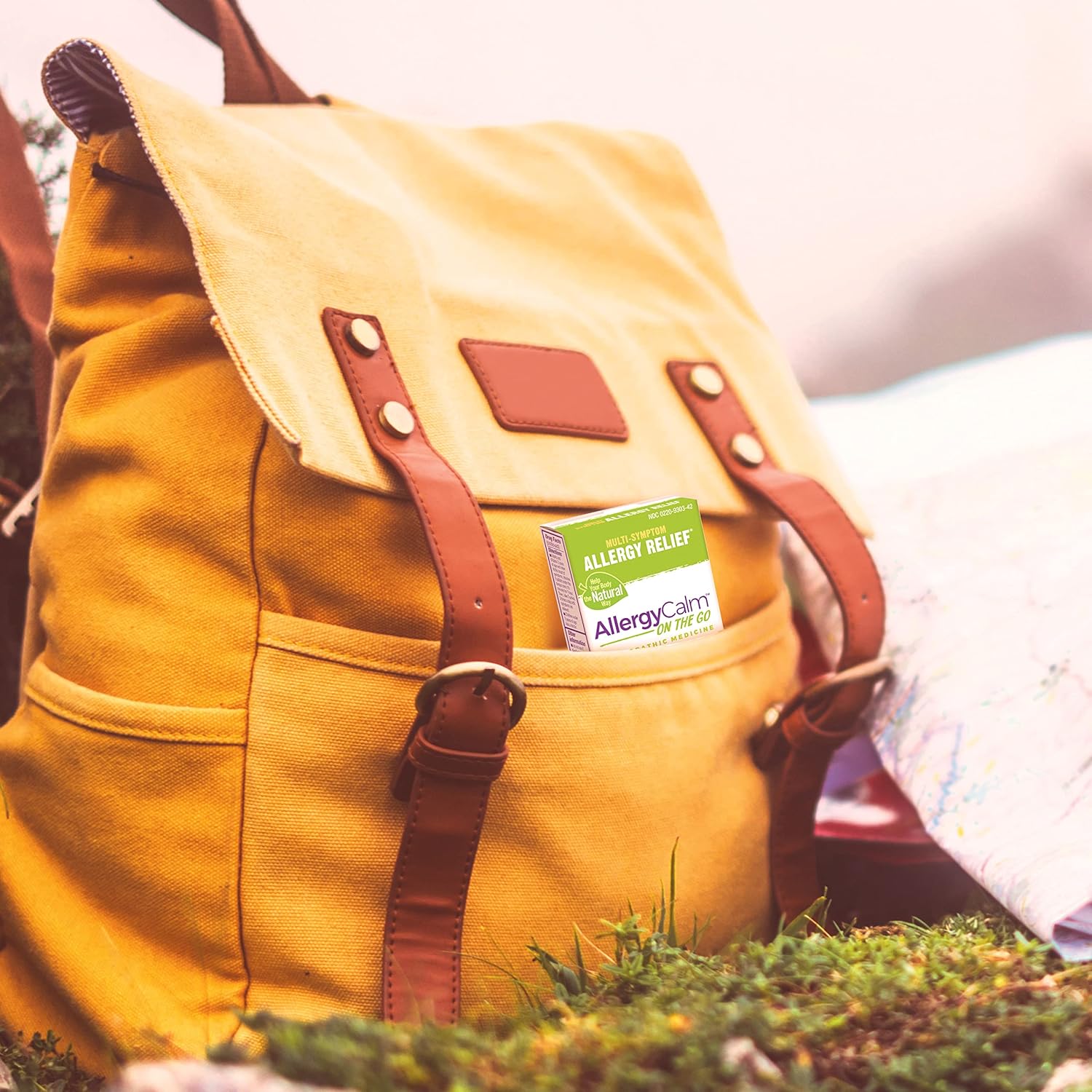 Boiron AllergyCalm On The Go para aliviar la alergia y la fiebre del heno síntomas de estornudos, secreción nasal y picazón en los ojos o garganta,