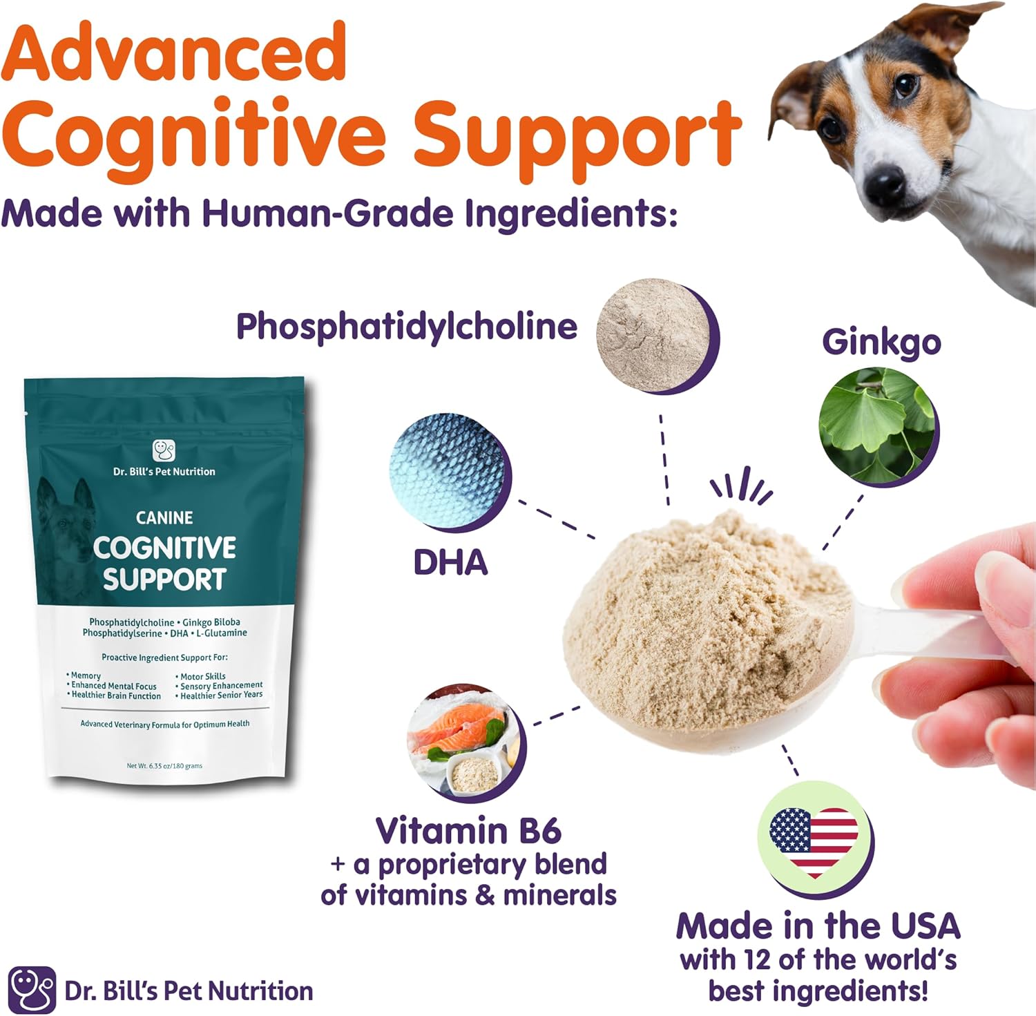 Dr. Bill’s Apoyo cognitivo canino  Suplemento de apoyo de memoria multivitamínico para perros  Contiene Gingko Biloba, L-Carnosina, Vitamina B-12,