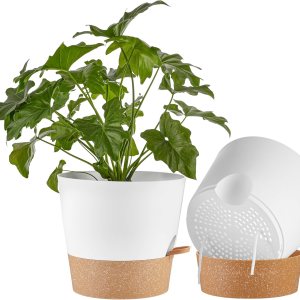 FaithLand Paquete de 2 macetas de 10 pulgadas para plantas de interior y exterior, macetas de riego automático con depósito profundo, color blanco FaithLand Paquete de 2 macetas de 10 pulgadas para plantas de interior y exterior, macetas de riego automático con depósito profundo, color blanco