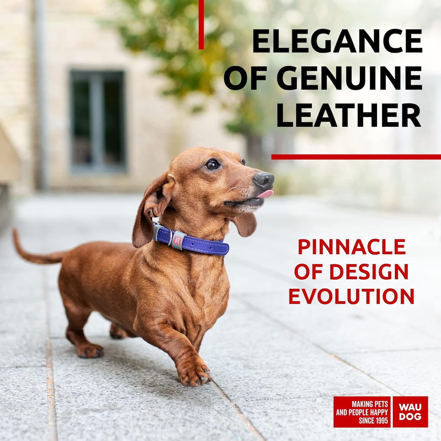 WAUDOG Collar de cuero de larga duración para perros grandes, medianos y pequeños  Collares clásicos ajustables para cachorros de raza grande