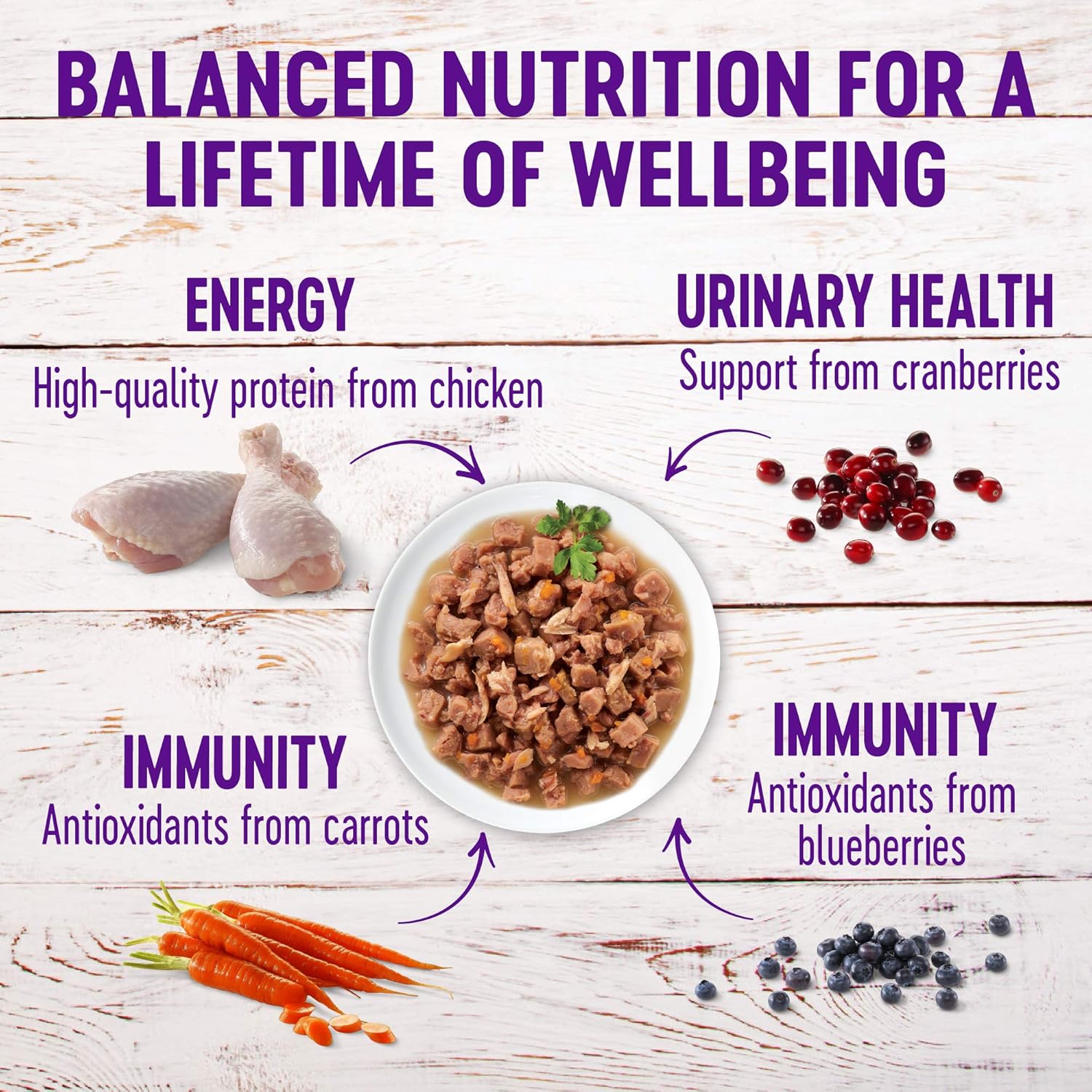 Comida húmeda para gatos Healthy Indulgence, libre de granos, bolsa de 3onzas (paquete de 24 envases), de Wellness