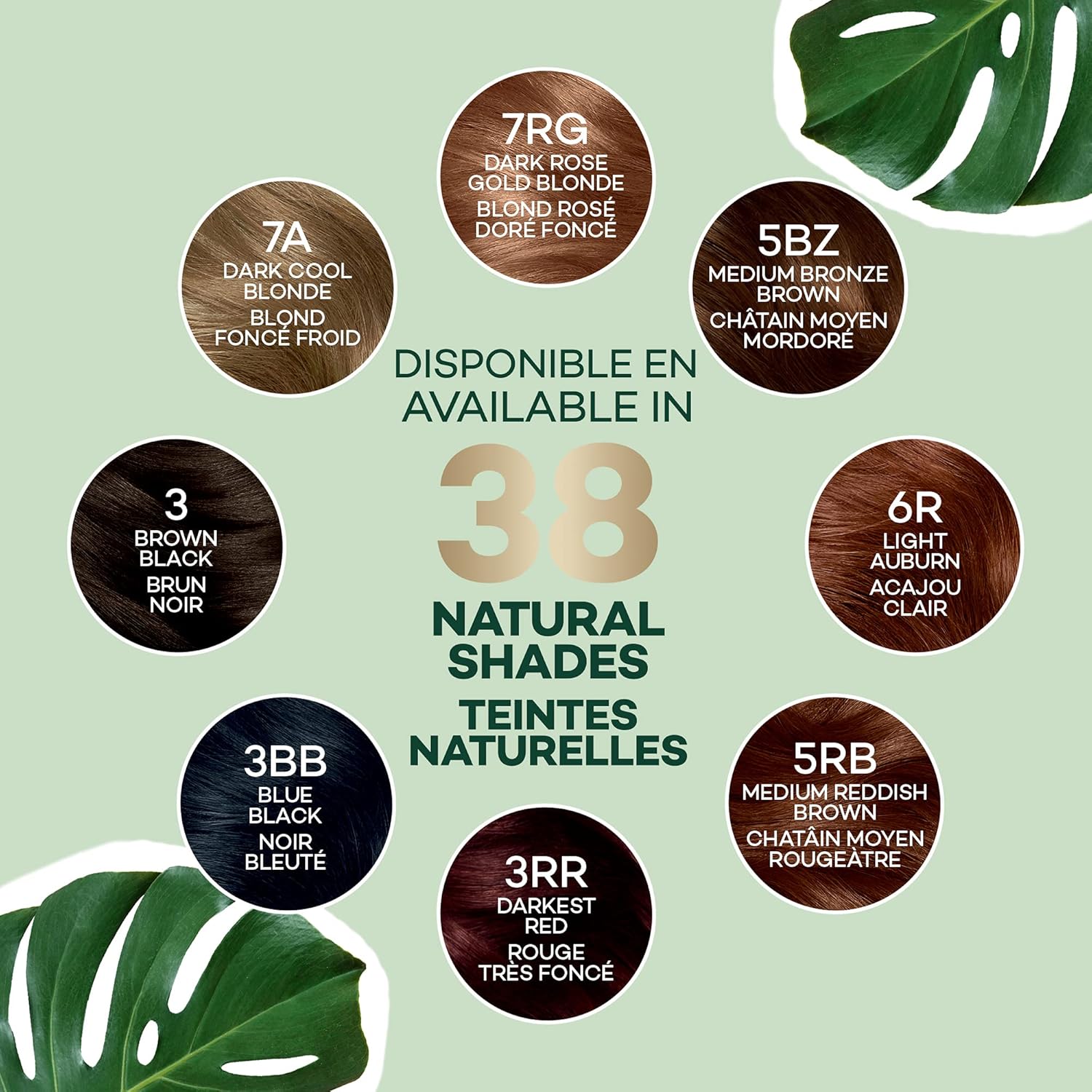 Clairol Natural Instincts – Tinte semipermanente para el cabello, color castaño cálido oscuro 4W, paquete de 2 unidades