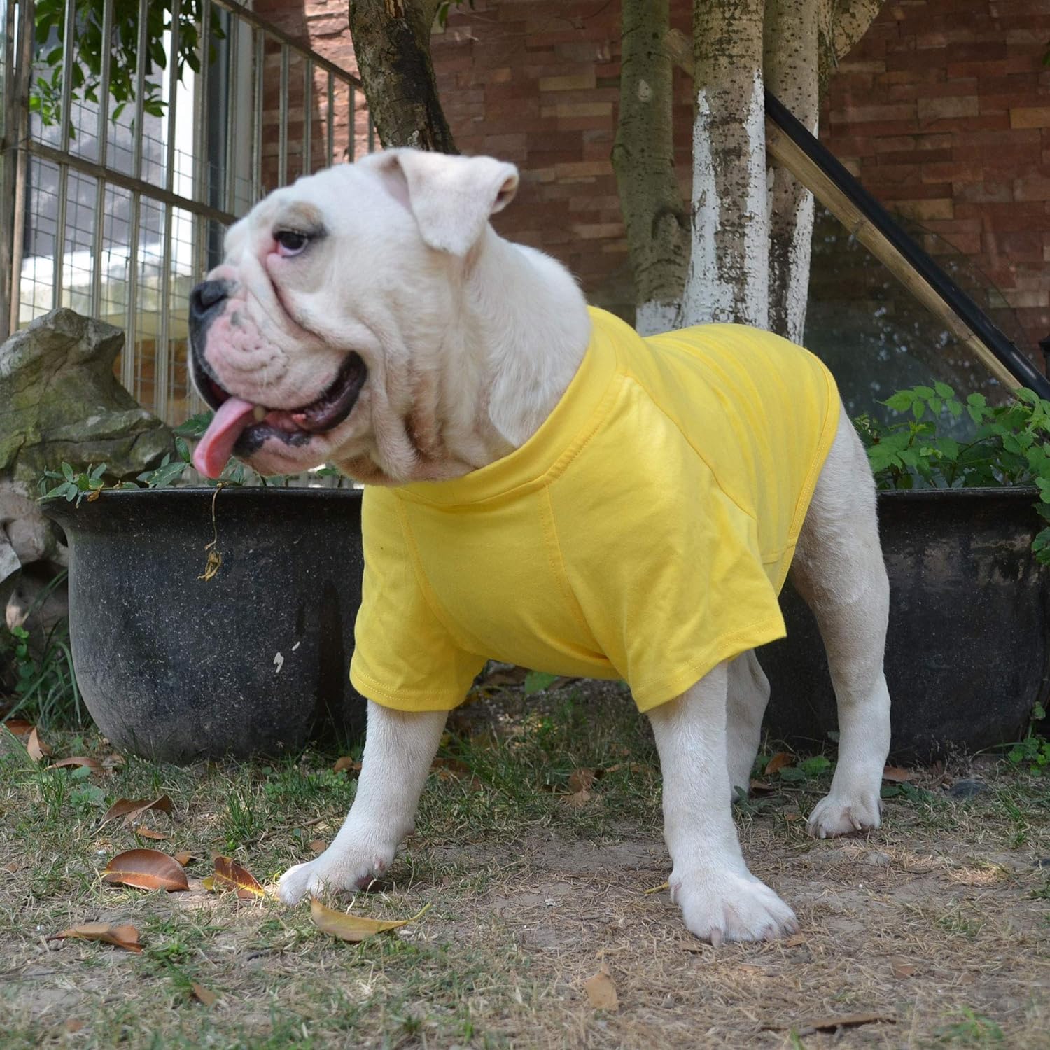 Lovelonglong 2019 – Ropa para mascotas, Disfraces para Perro, Ropa Camisetas en blanco para Perros Grande Medianos Pequeños 100% Algodón 18 Colores,