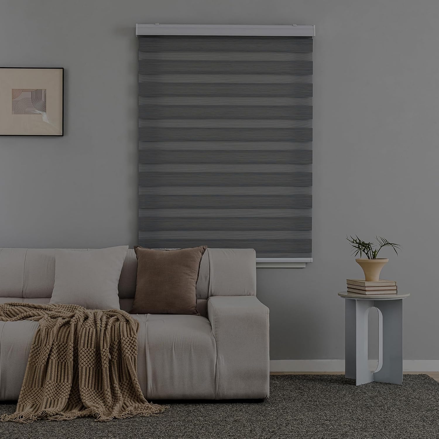 SHECUTE Persianas tipo cebra sin cordón para ventanas, filtran la luz, oscurecimiento de la habitación, persianas enrollables para sala de estar,