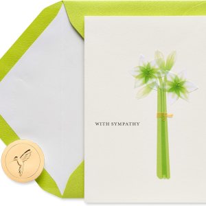 Papyrus Tarjeta de condolencias (comodidad y apoyo) Papyrus Tarjeta de condolencias (comodidad y apoyo)