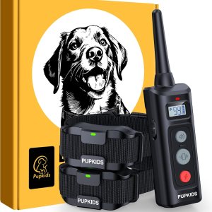 Collar de choque para perros con control remoto, paquete de 2 Collar de entrenamiento de perro de 4000 pies, 108 niveles, collar electrónico con 3 Collar de choque para perros con control remoto, paquete de 2 Collar de entrenamiento de perro de 4000 pies, 108 niveles, collar electrónico con 3
