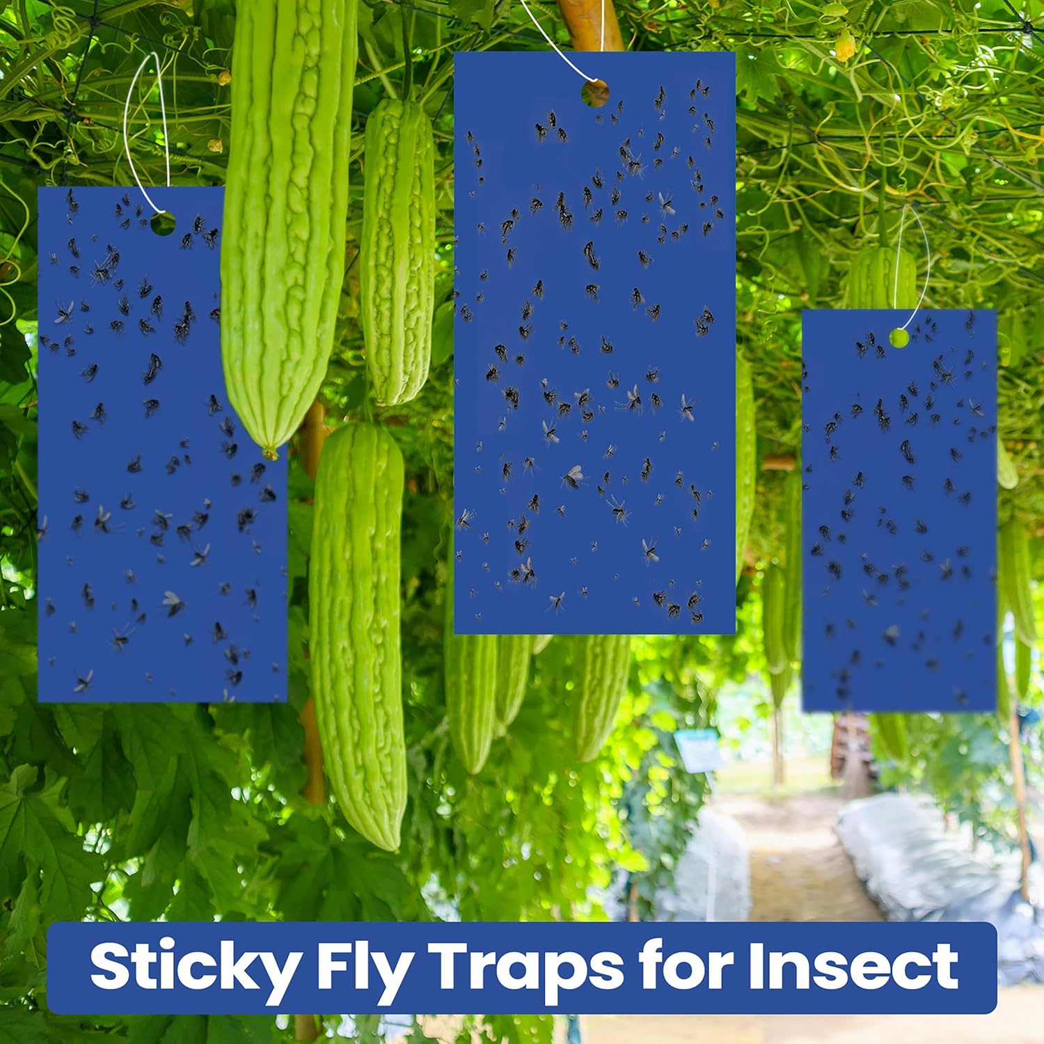 100 trampas adhesivas de doble cara para plantas voladoras insectos como moscas blancas, pulgones de 7.87 x 3.9 pulgadas, trampas adhesivas para