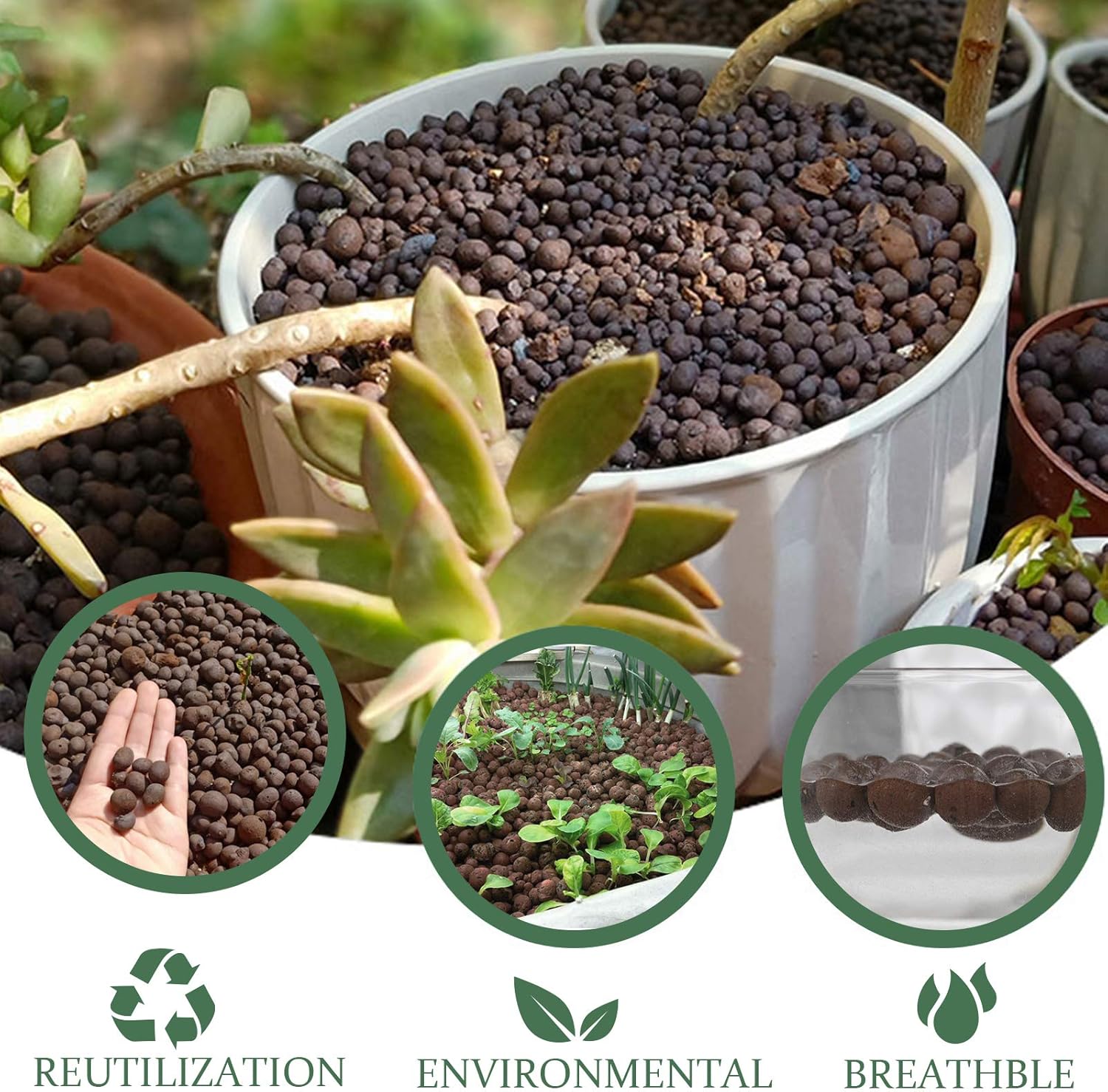Malifea Suministros hidropónicos de arcilla expandida Leca de 10 libras para plantas de jardín de interior