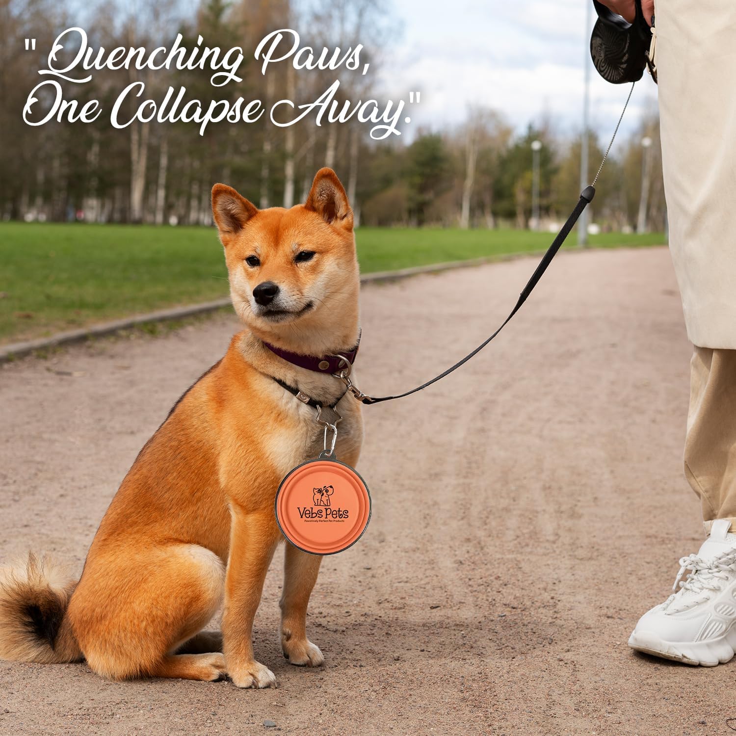 Cuencos plegables para perros, paquete de 2 cuencos portátiles de agua para perros medianos y pequeños, gatos y mascotas, plato plegable de riego