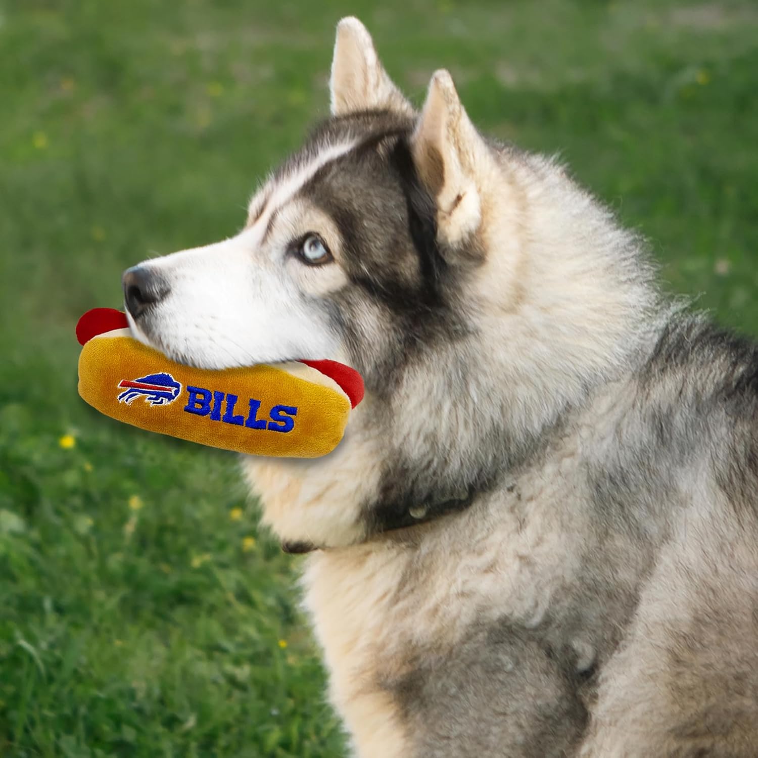 Pets First NFL Buffalo Bills HOT Dog & Cat – Juguete de peluche para perros y gatos, juguete de peluche para perros y gatos con chirriador interior