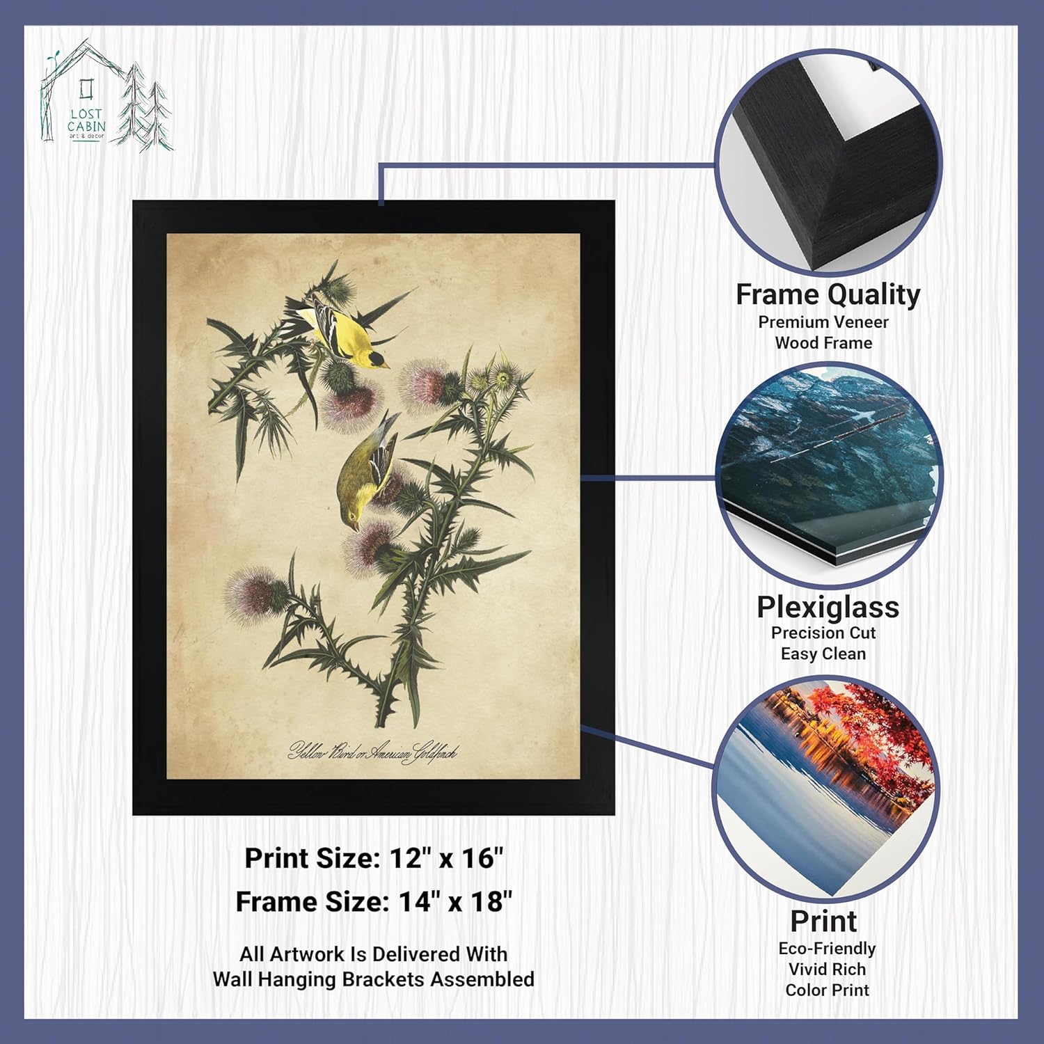 Jilguero americano de James Audubon 12 x 16 con marco biselado negro  Decoración artística enmarcada para pared  Reproducción de pintura fina