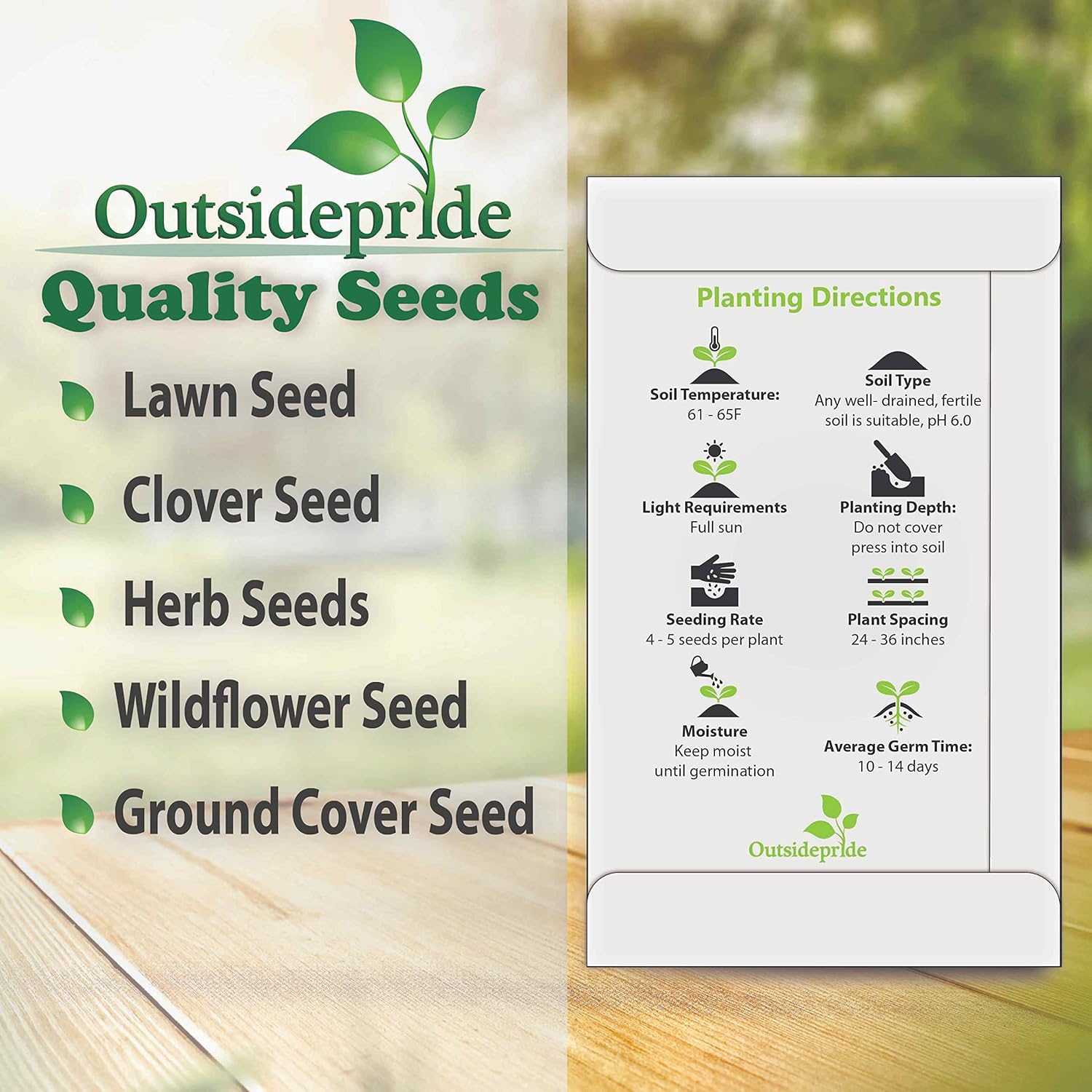 Outsidepride 5000 semillas Kochia Trichophylla ardientes de la planta del follaje del arbusto semilla para plantar