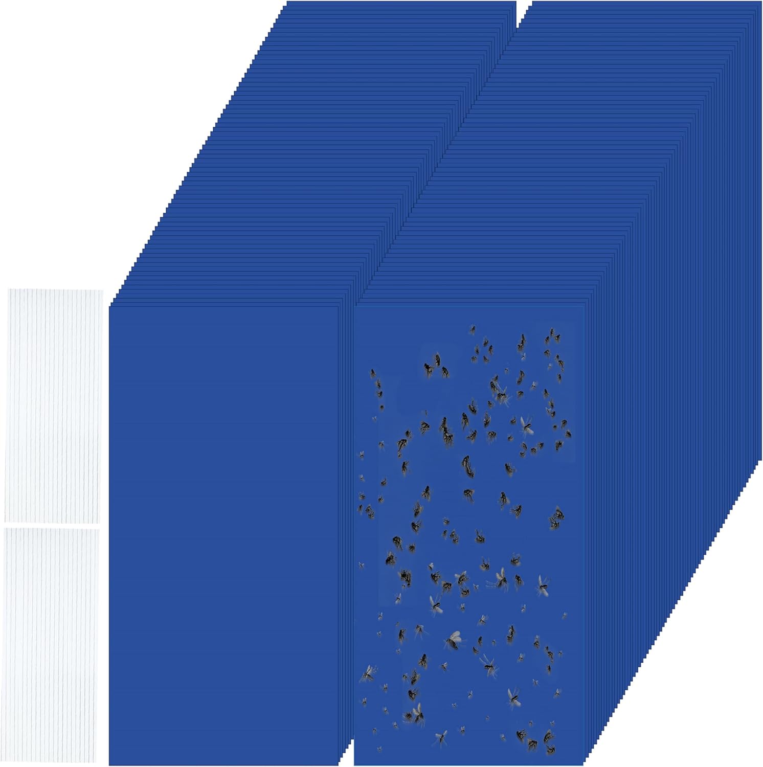 100 trampas adhesivas de doble cara para plantas voladoras insectos como moscas blancas, pulgones de 7.87 x 3.9 pulgadas, trampas adhesivas para