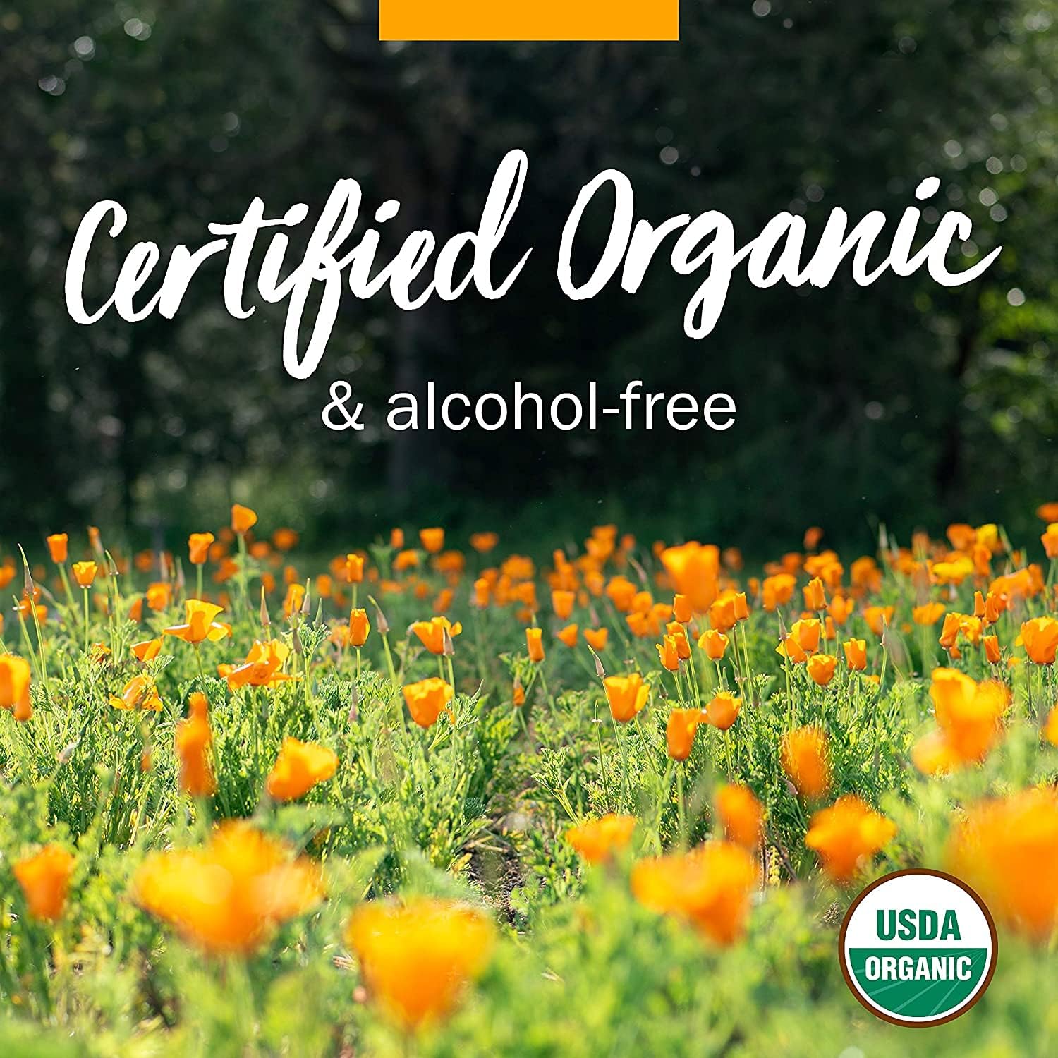 Herb Pharm Extracto líquido de hisopo orgánico certificado – 1 onza (paquete de 2)