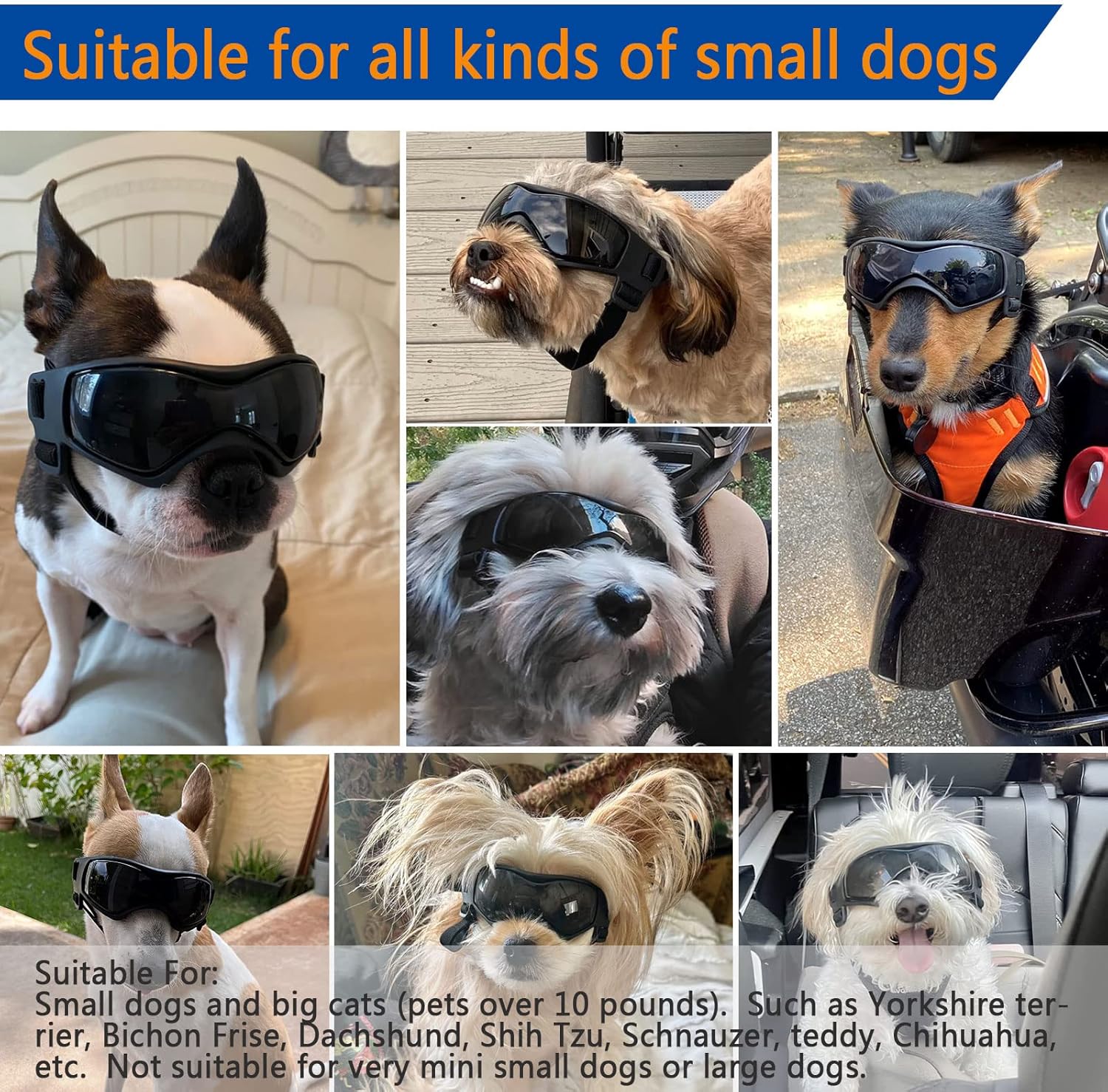 Gafas de sol para perros pequeños, lentes de sol para perros de raza pequeña, protección UV, protección contra el viento, protección contra el polvo