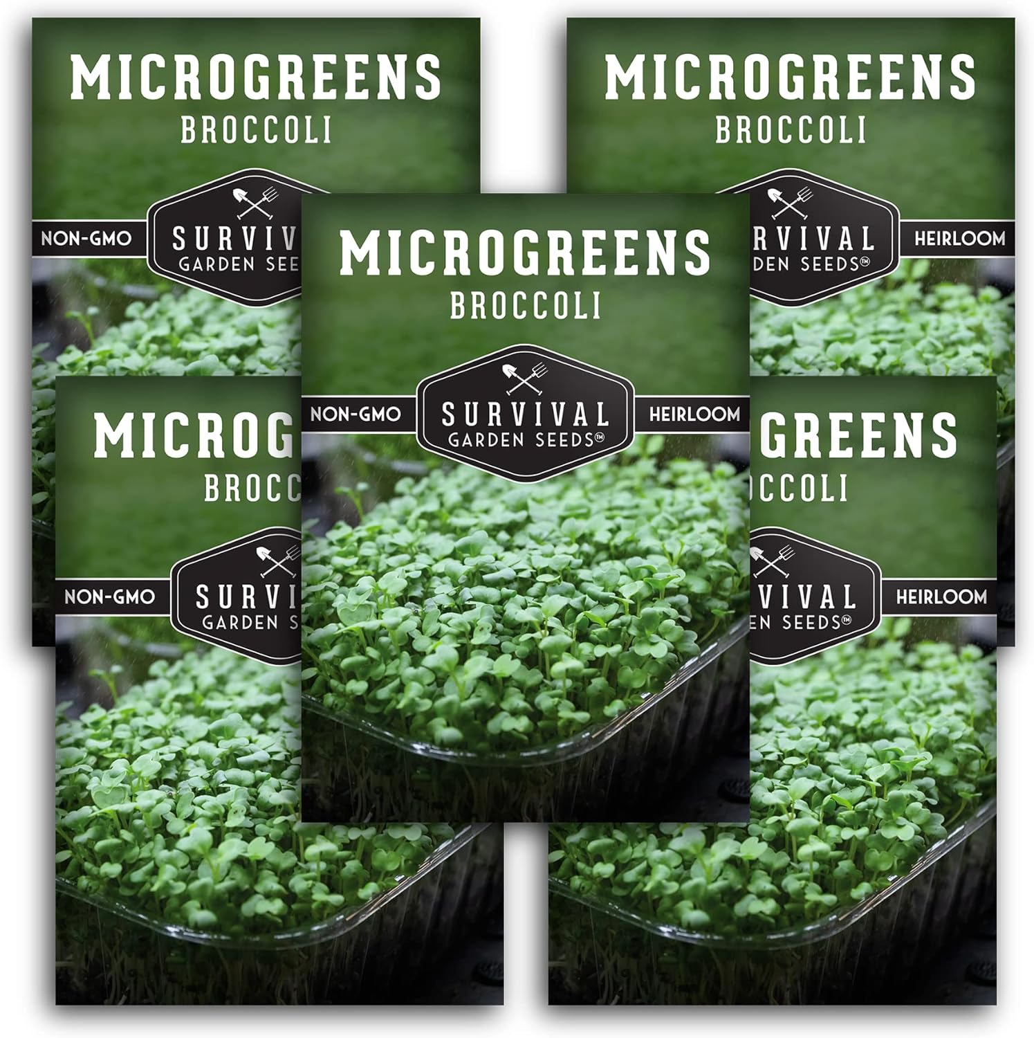 5 paquetes de semillas de microgreens de brócoli para plantar y cultivar  Planta plantas de microvegetales de hoja verde en interiores  Cultiva tu