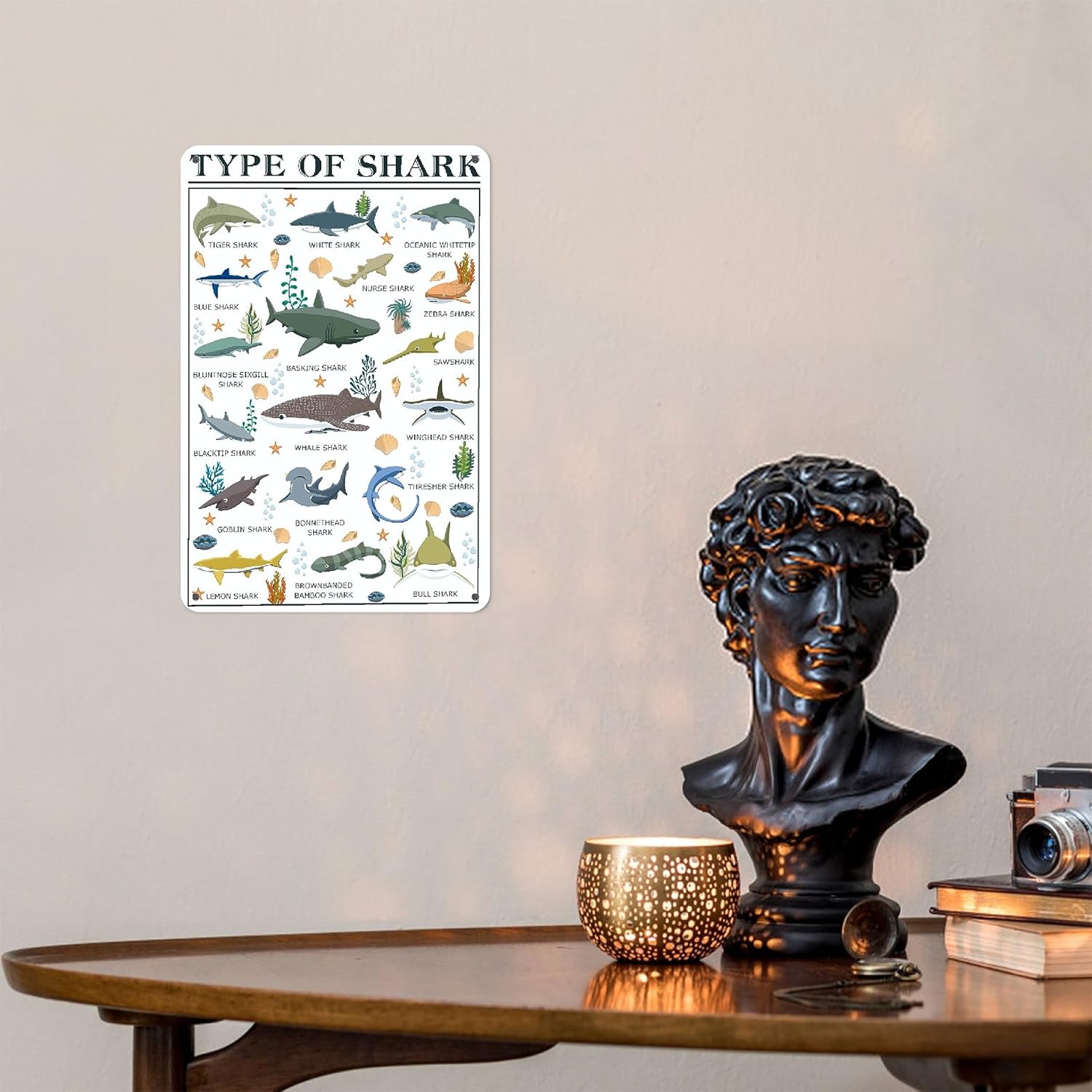 Póster de tiburón  Arte de pared de conocimiento de tiburón  Tipos de tiburón letrero de metal de aluminio  Divertido mundo educativo ciencia