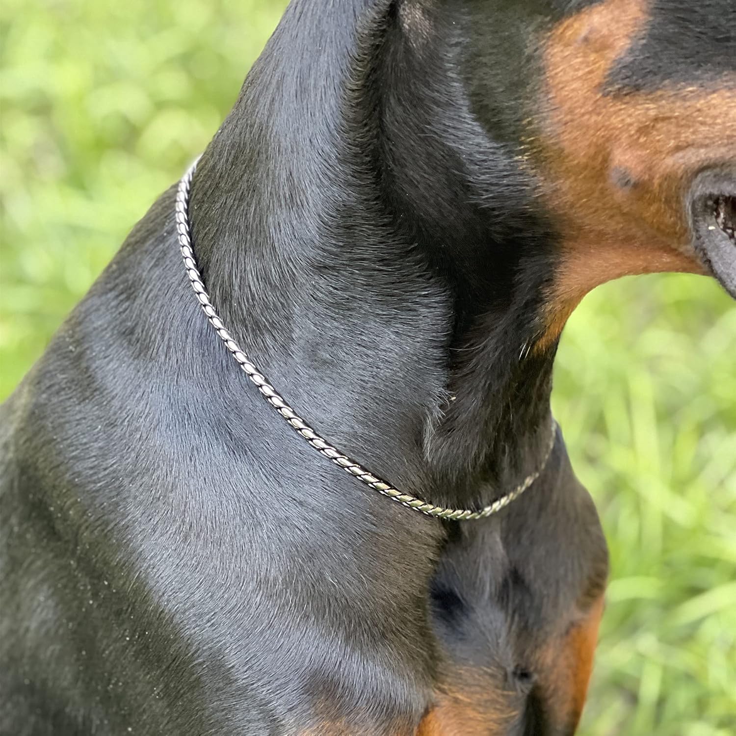 Umysky Cadena de metal cromado para perro con diseño de serpiente en forma de serpiente, estranguladorcollar totalmente garantizado contra el