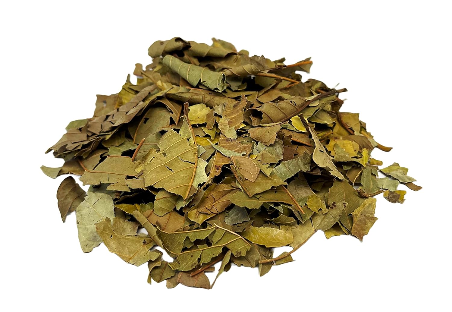 Hojas de Té de Guayaba (3.70 oz) Té de Hierbas – Hojas De Guayaba -100% Natural – Grandes Beneficios Beber Té – Infusiones de Hierbas