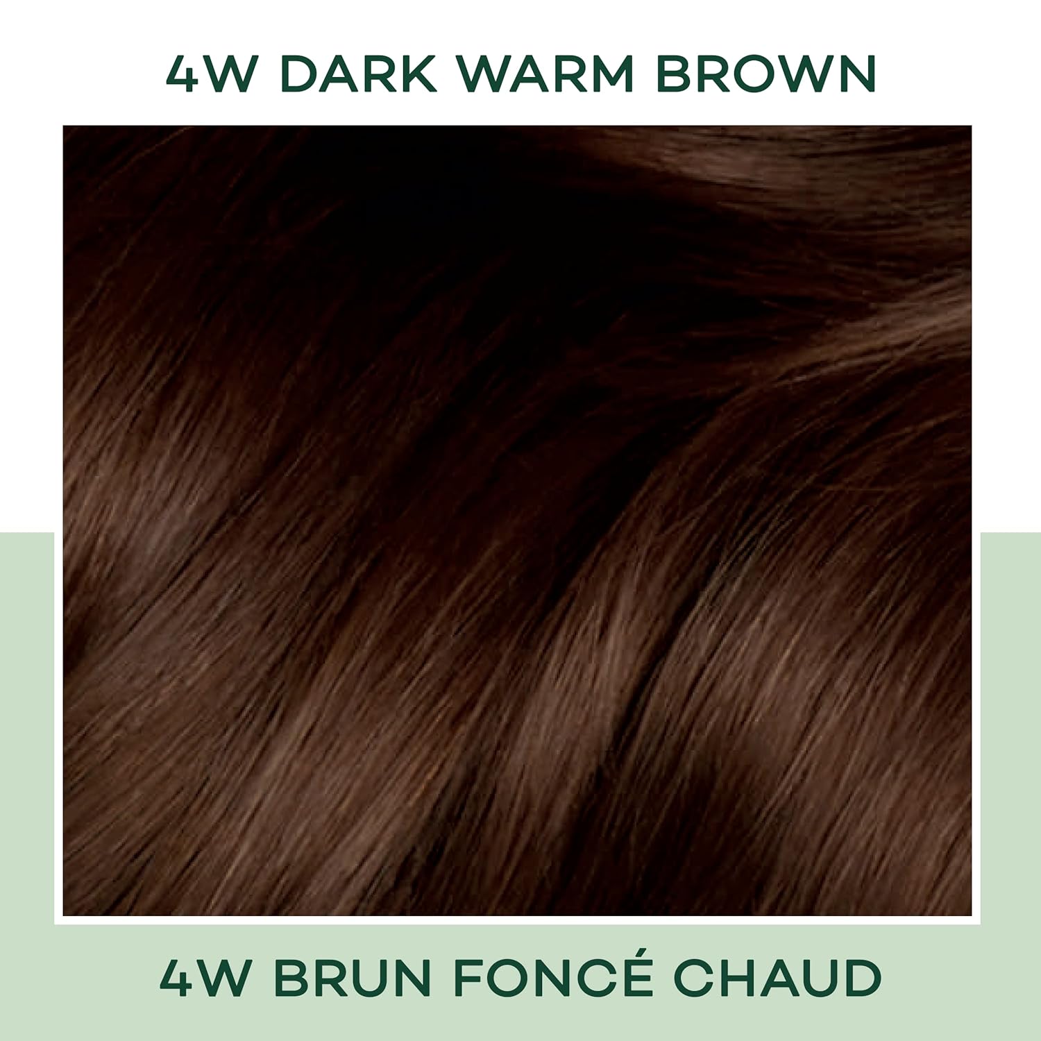 Clairol Natural Instincts – Tinte semipermanente para el cabello, color castaño cálido oscuro 4W, paquete de 2 unidades