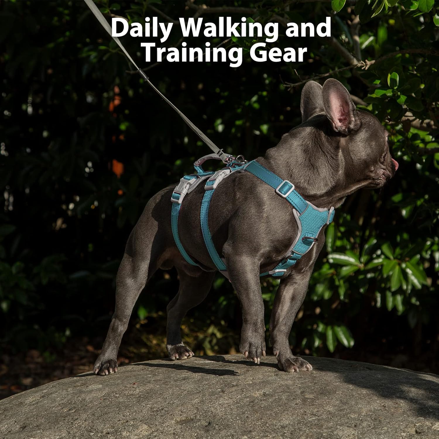 Arnés para perro a prueba de escapes, arnés reflectante sin tirones con asa de elevación, chaleco ajustable para mascotas con clips delanteros y