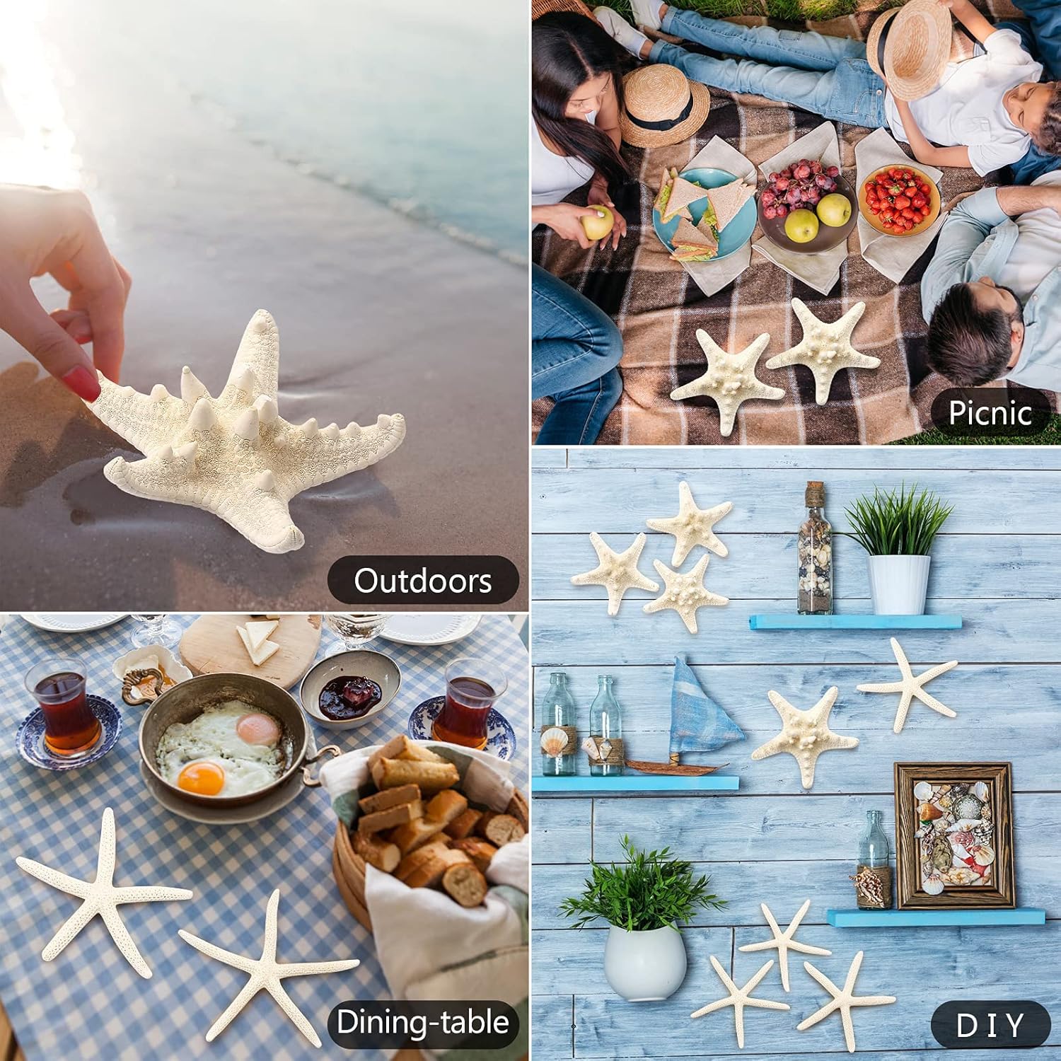 gopiter 12 piezas de estrellas de mar  Decoración de estrellas de mar de 2.5 a 6 pulgadas  Conchas naturales de estrella de mar a granel perfectas