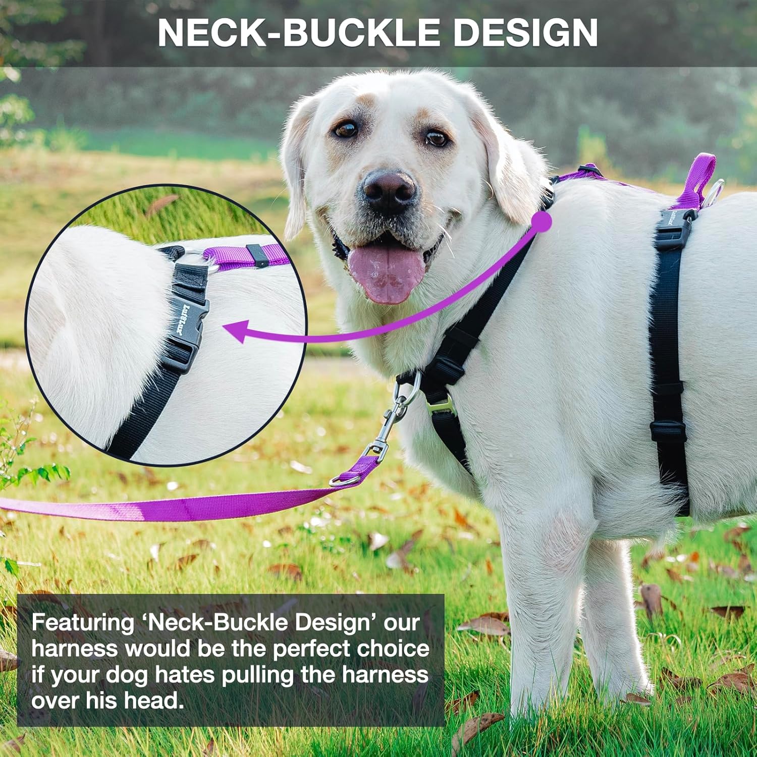 Arnés para perro fácil de caminar y entrenar, sin tirones, arnés no restrictivo con hebilla para el cuello, correas de nailon, anillos en D de