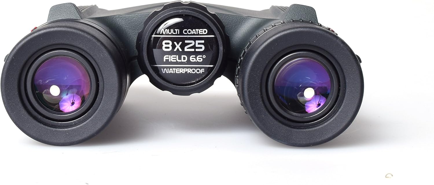 Sightron SI825 8×25 Binocular (Verde)