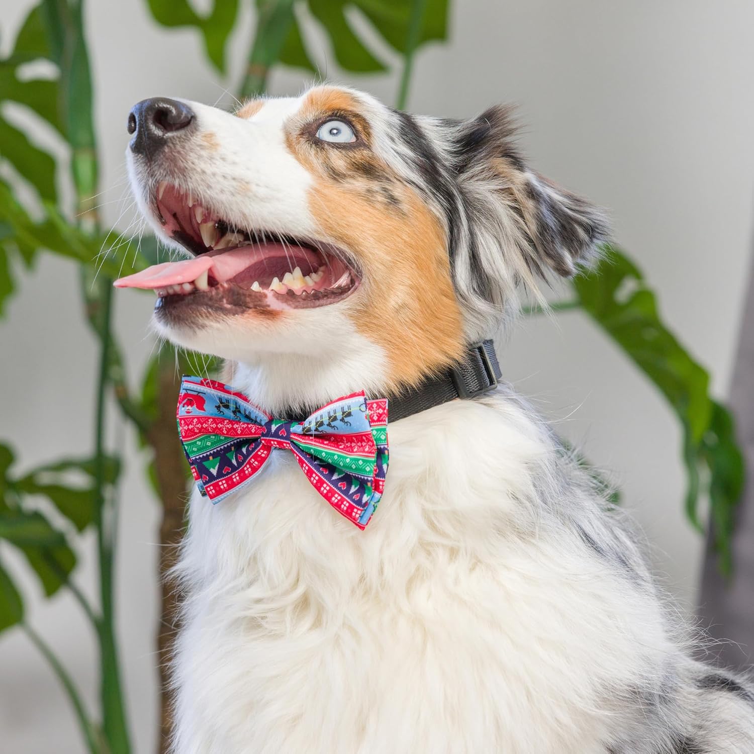 Huxley & Kent Pajarita para mascotas  Suéter feo (pequeño)  Accesorio de lazo de velcro para Navidad  Divertidas pajaritas para perros y gatos