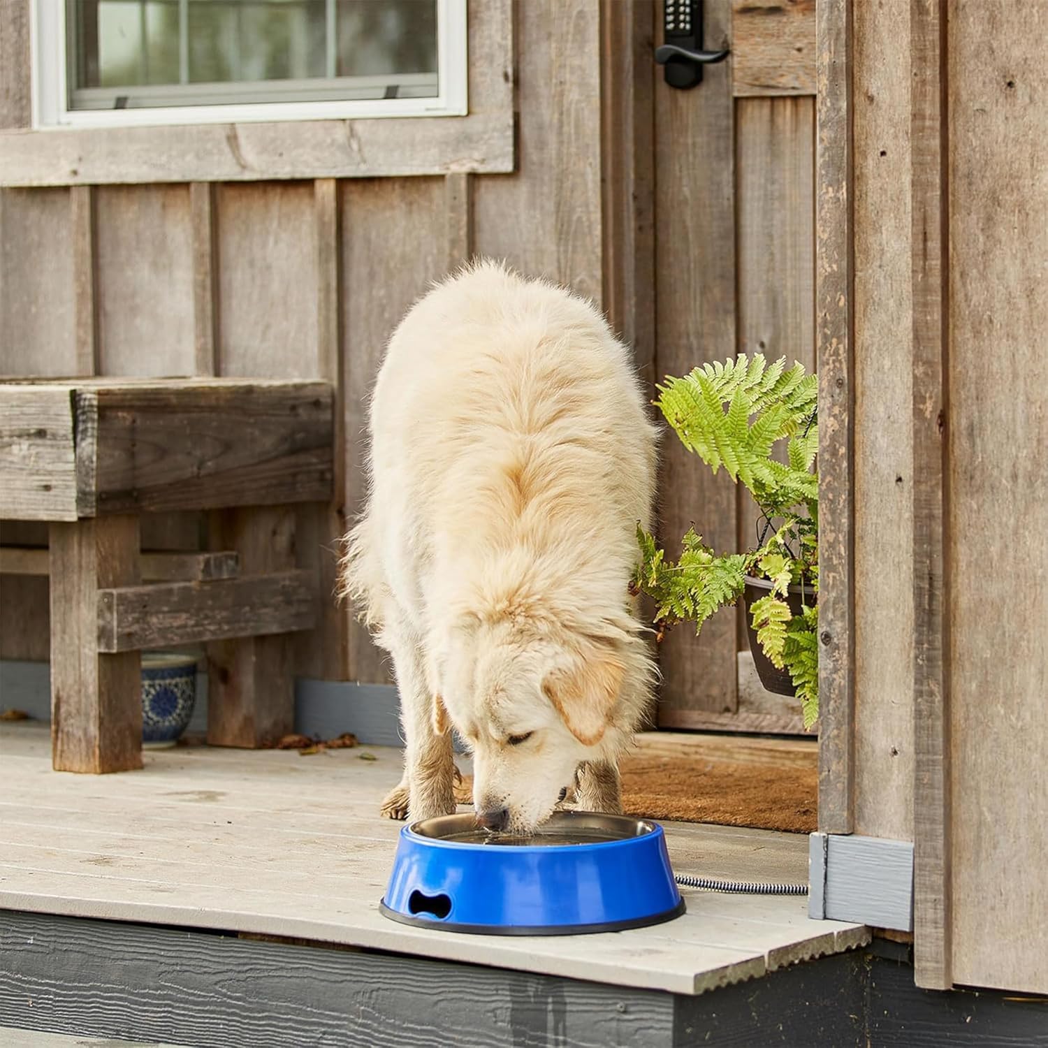 Farm Innovators SB-60 Signature Series – Recipiente eléctrico de agua para mascotas con 5.5 cuartos de galón con inserto de acero inoxidable,