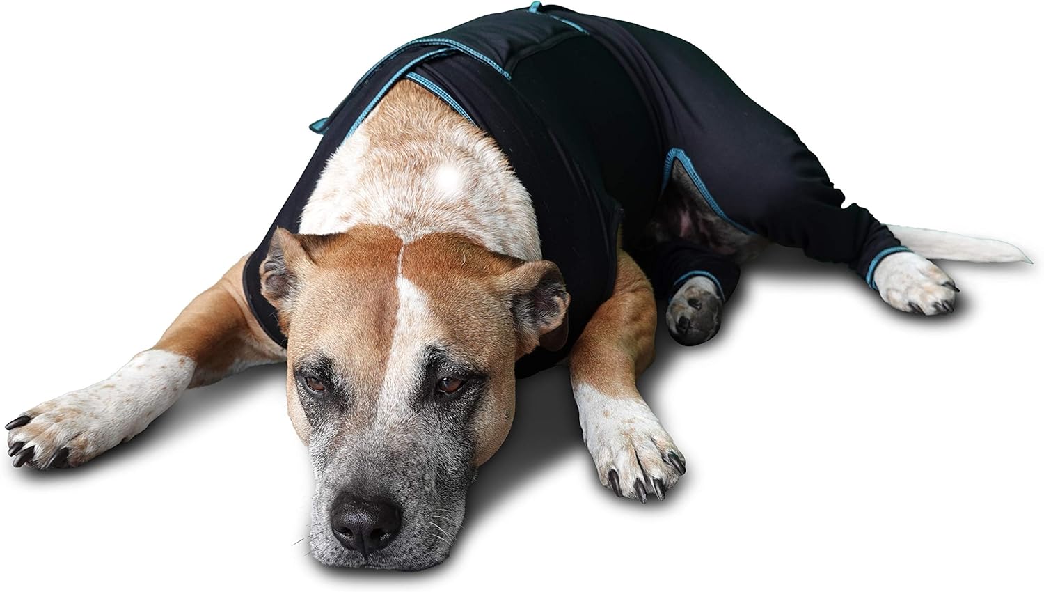 BENEFAB Traje terapéutico cómodo para perros, chaqueta ligera de infrarrojos lejanos para caninos de todas las edades, traje de compresión relajante