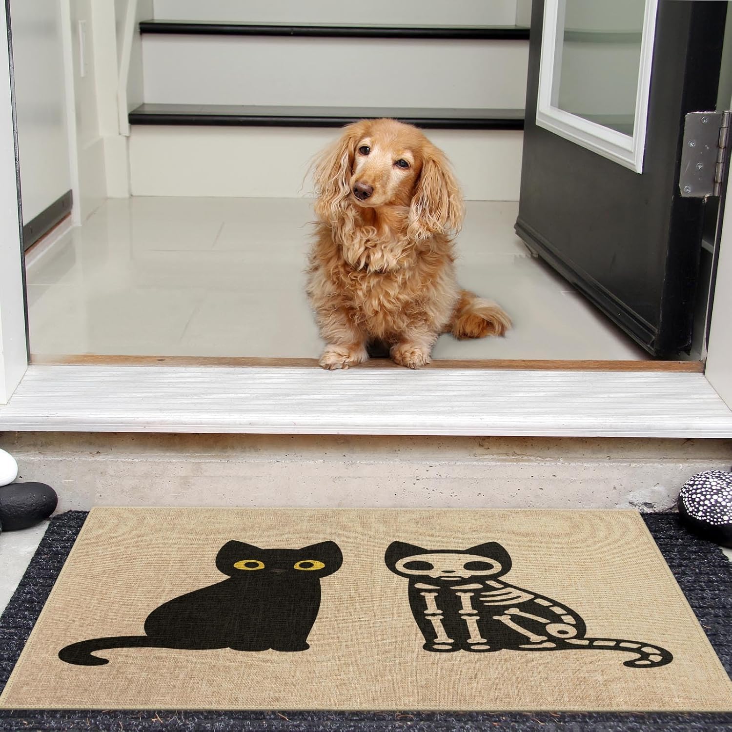 Tapete para puerta de gato, tapete de bienvenida con diseño de calavera, bonito tapete para puerta delantera, tapete para entrada interior y